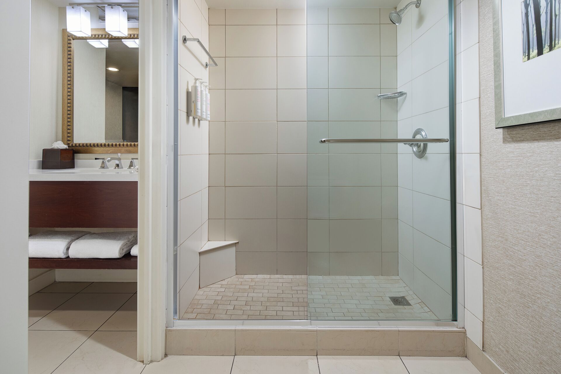 combined shower/bathtub, free toiletries, hair dryer, towels