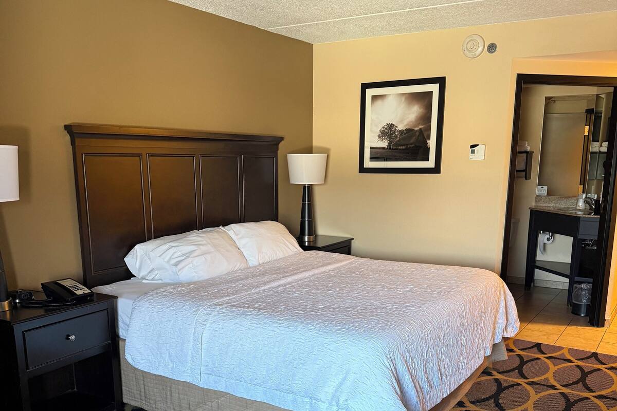 A hotel room with a large bed, a nightstand with a telephone, a wall-mounted lamp, and a framed picture.
