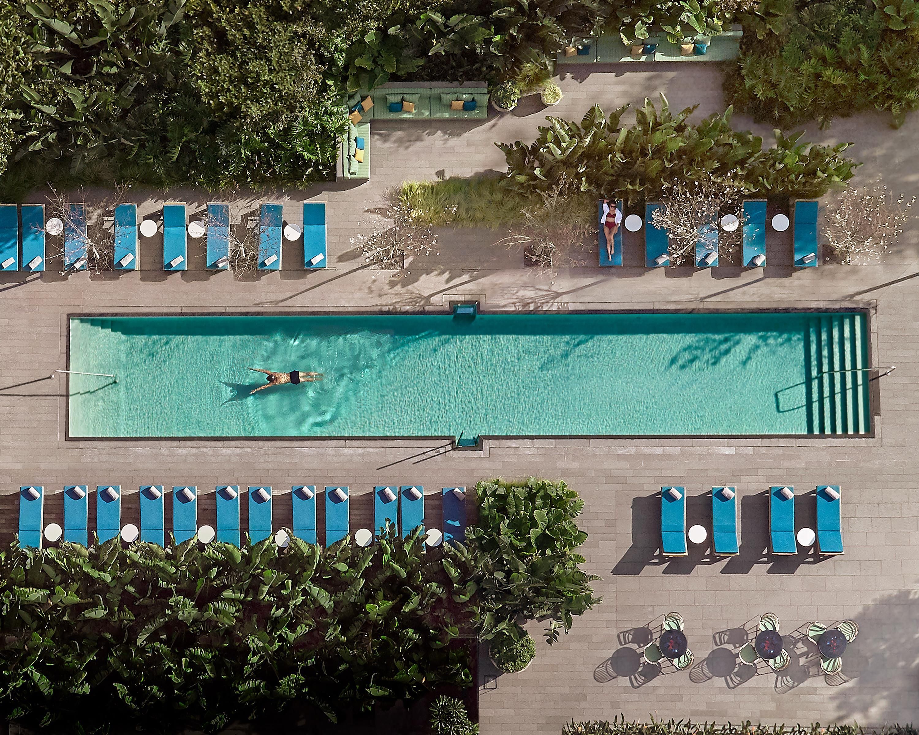 Eine Vogelperspektive auf ein rechteckiges Schwimmbecken mit Liegestühlen und Sonnenschirmen, umgeben von viel Grün.
