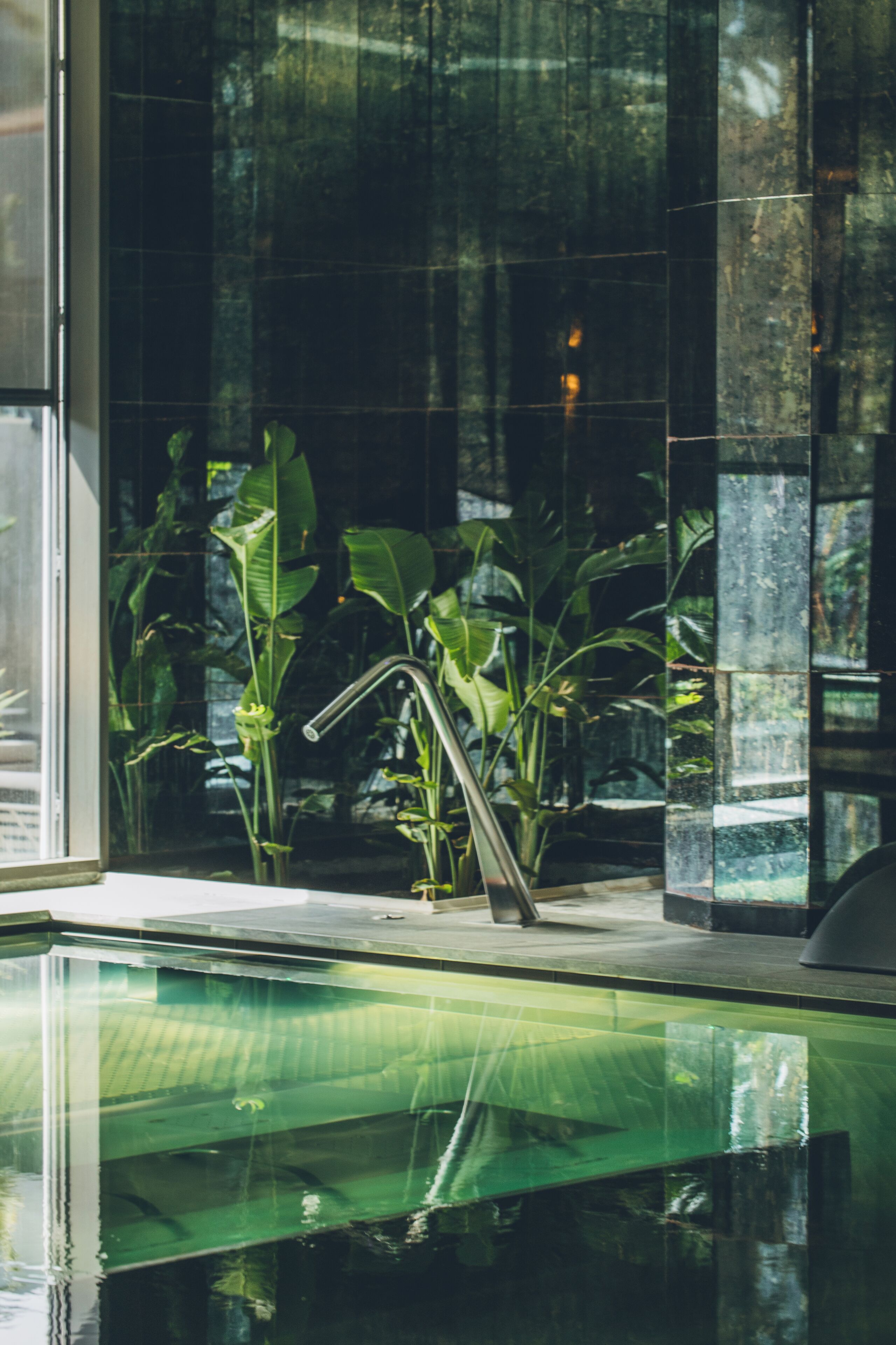 Une piscine intérieure moderne dotée d’un fond en verre transparent, entourée de grandes plantes vertes et agrémentée d’un robinet en métal.