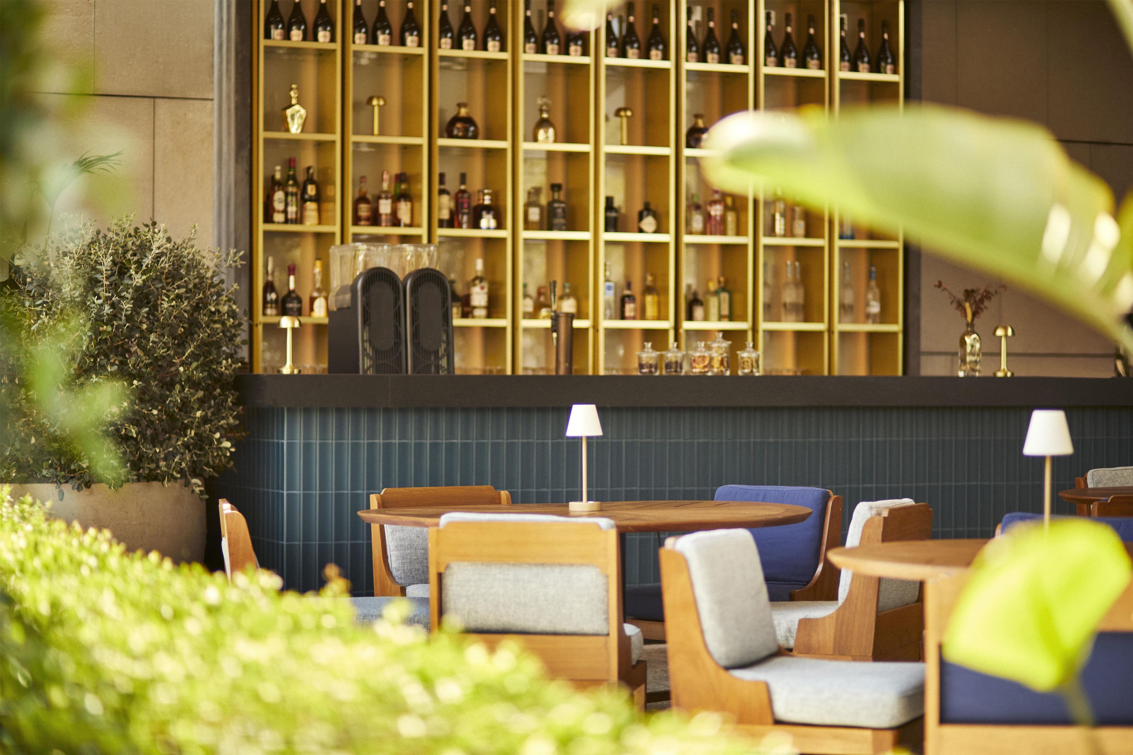Eine Bar mit mehreren Flaschenregalen, einer Sitzecke mit Tischen und Stühlen sowie einer Zimmerpflanze.