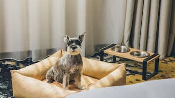 A dog in a pet bed with a feeding station in a room with a patterned carpet.