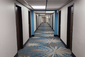 Servicio de la propiedad