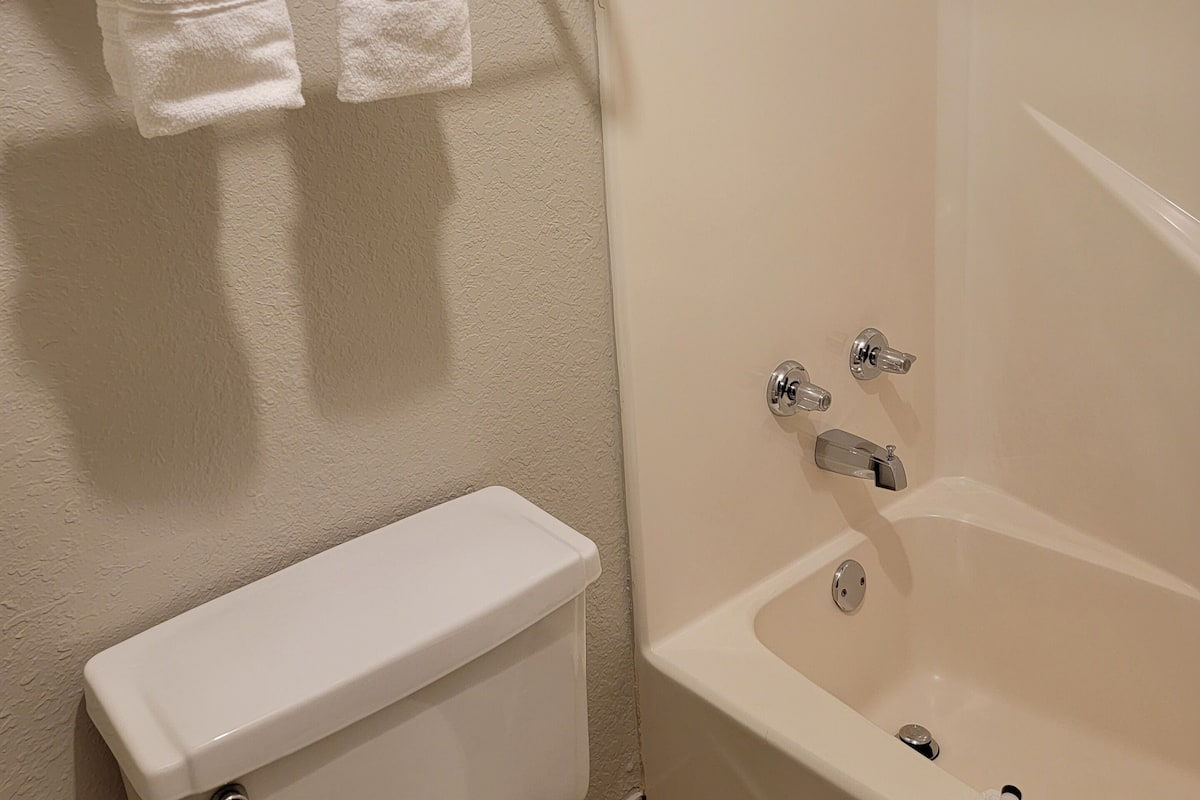 combined shower/bathtub, hair dryer, towels