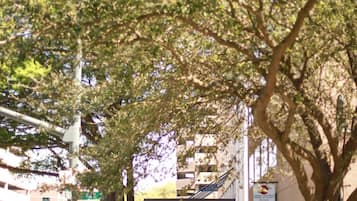 A Marriott hotel entrance with a pedestrian walkway, trees, and parked cars.