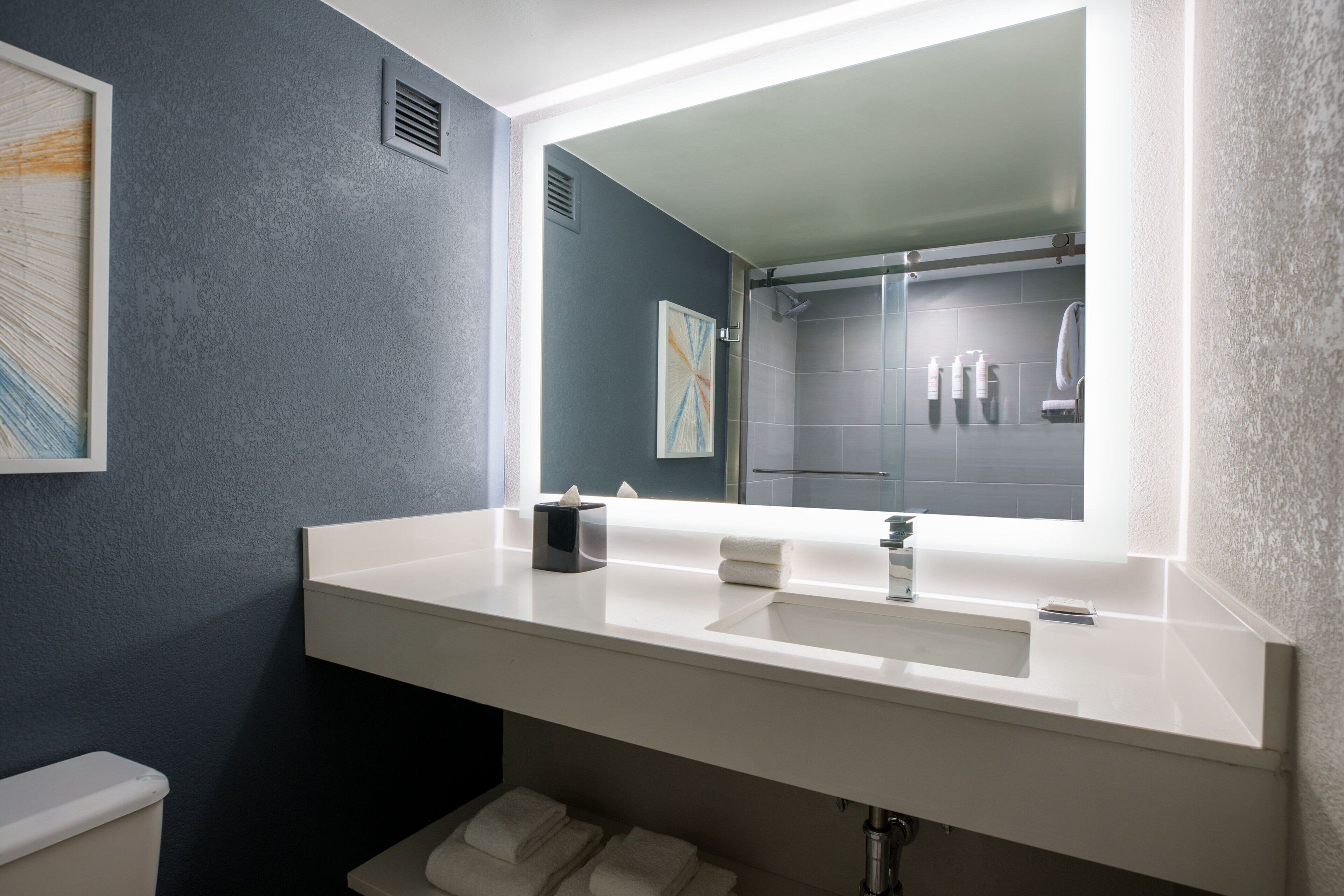 combined shower/bathtub, free toiletries, hair dryer, towels