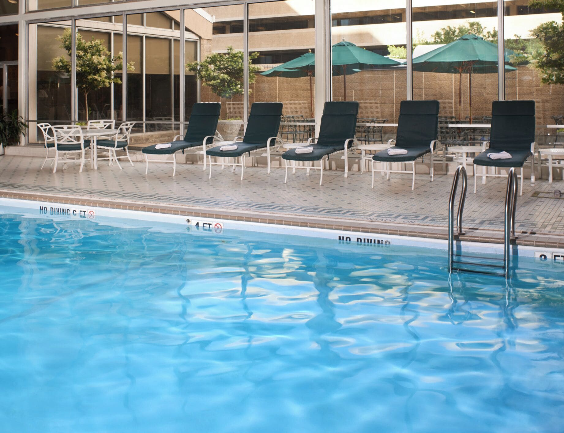 Indoor pool, sun loungers