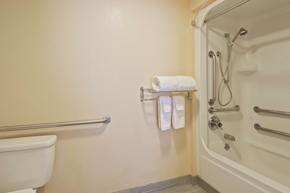 standard room, 1 king bed, accessible, bathtub | bathroom | combined shower/bathtub, free toiletries, hair dryer, towels
