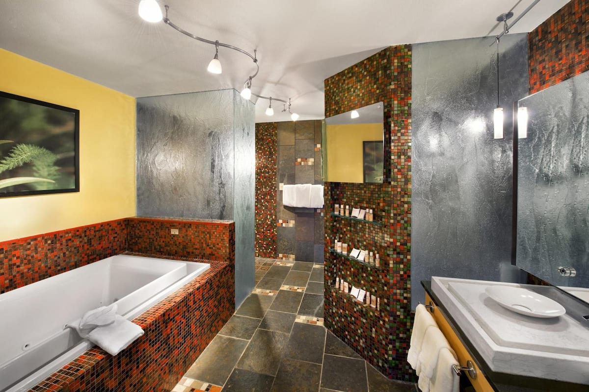 combined shower/bathtub, free toiletries, hair dryer, towels