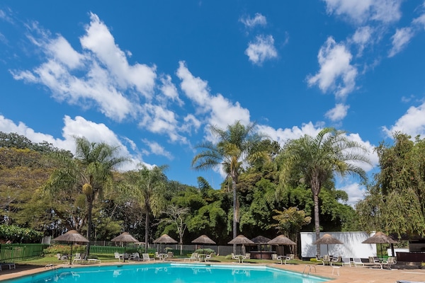 Outdoor pool, pool umbrellas, pool loungers