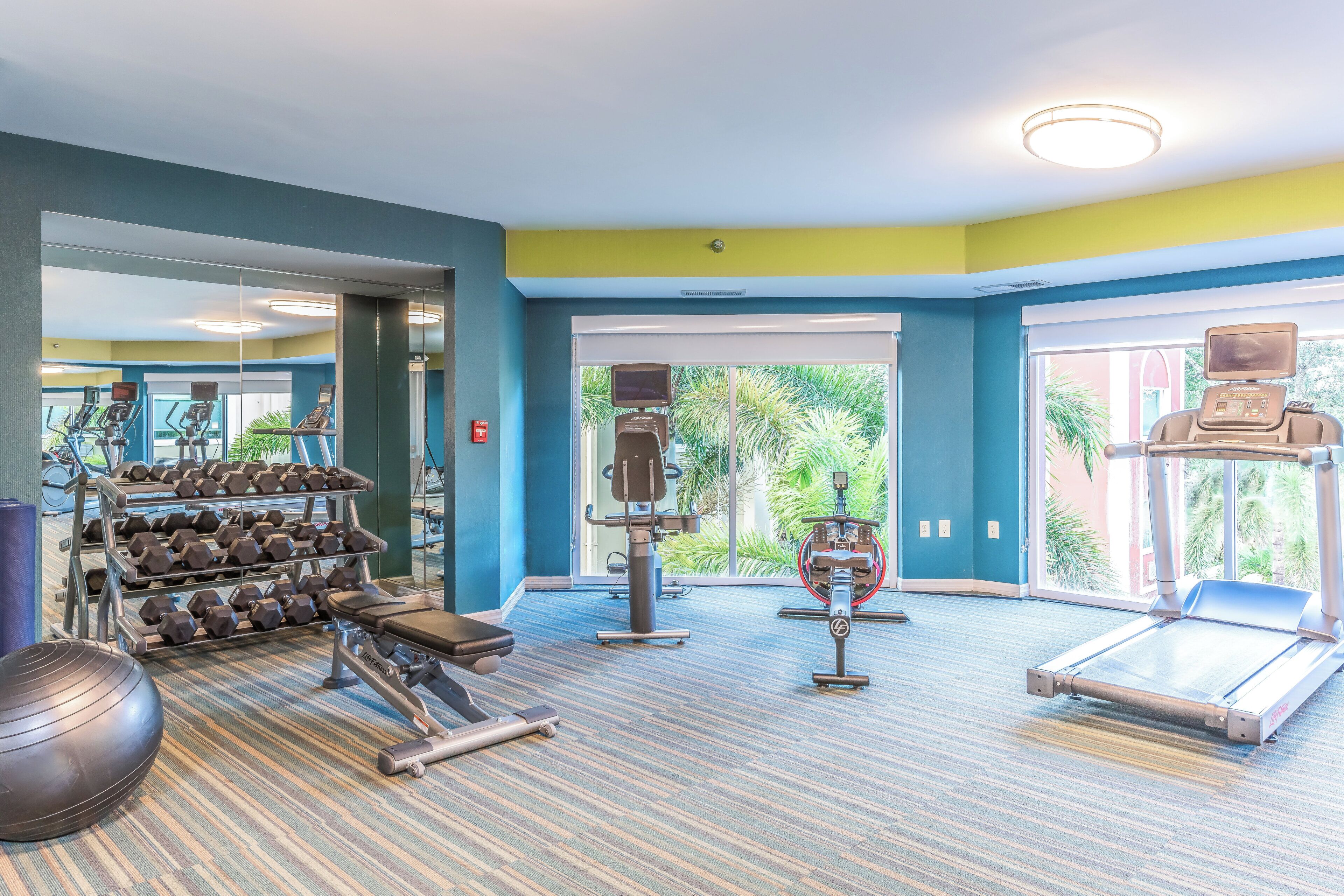 A gym with treadmills, dumbbells, and exercise equipment.