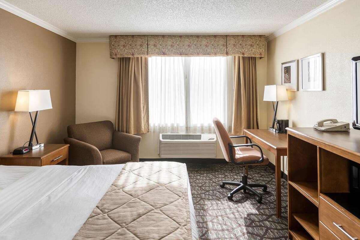 A hotel room with a bed, a desk, a chair, and a desk lamp.