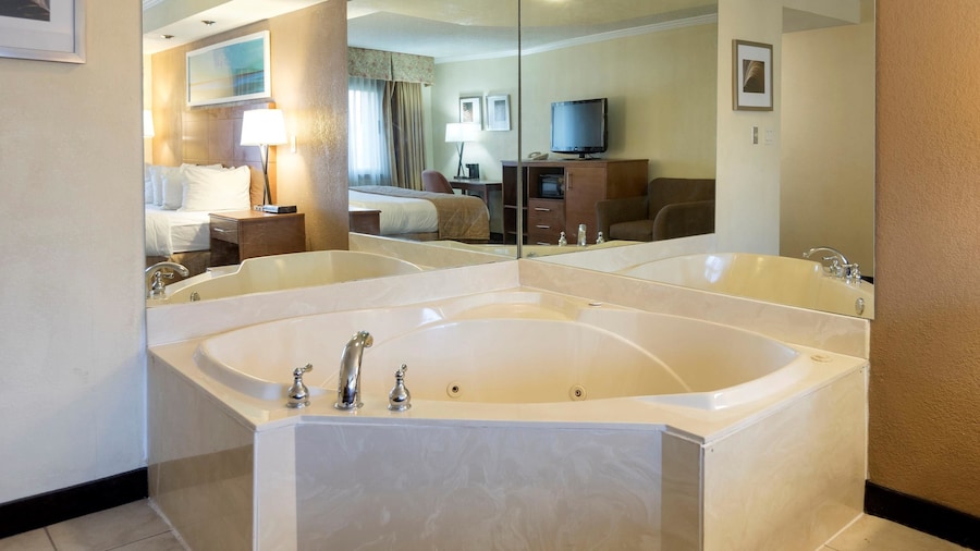 Clarion Hotel Detroit Metro Airport