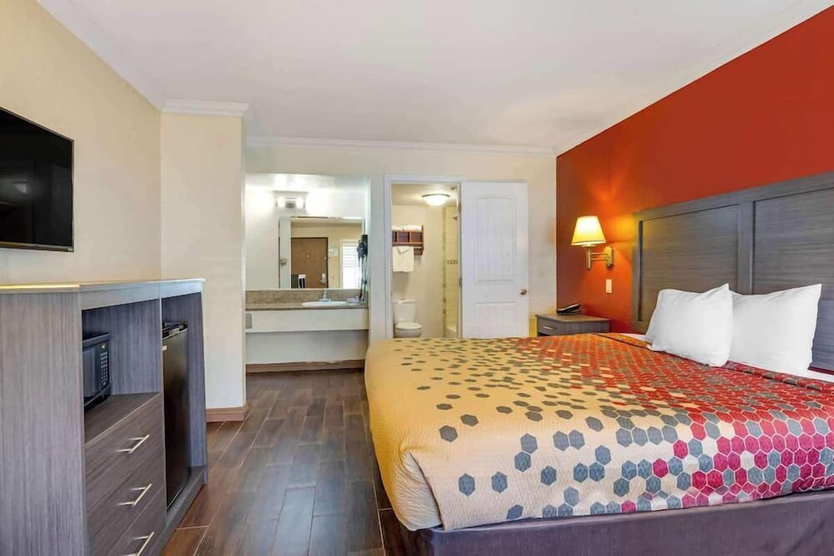 A hotel room with a bed, a TV, a desk with drawers, a bathroom, and a red accent wall.
