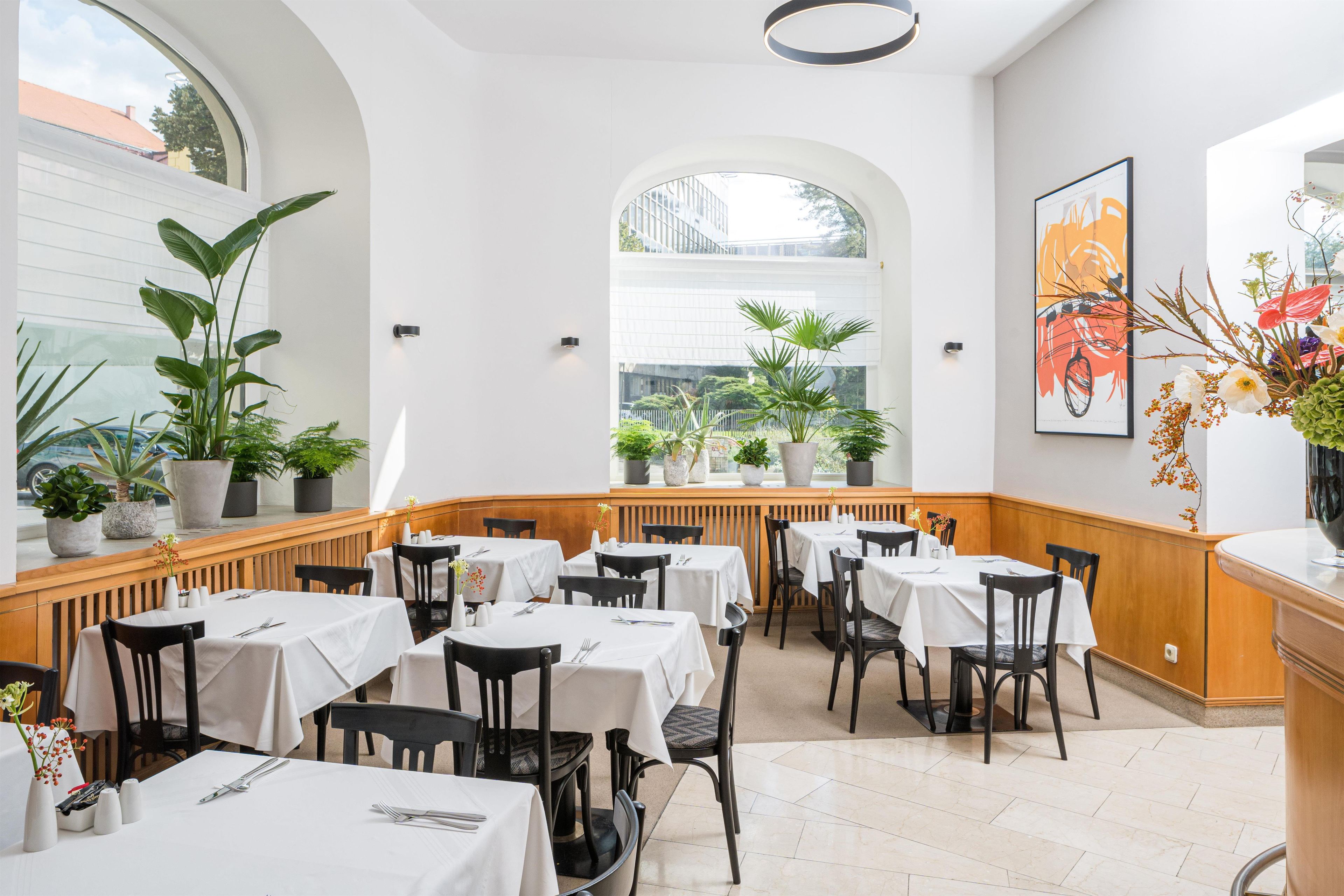 A restaurant with multiple tables and chairs, potted plants, and a view of the outside through large windows.