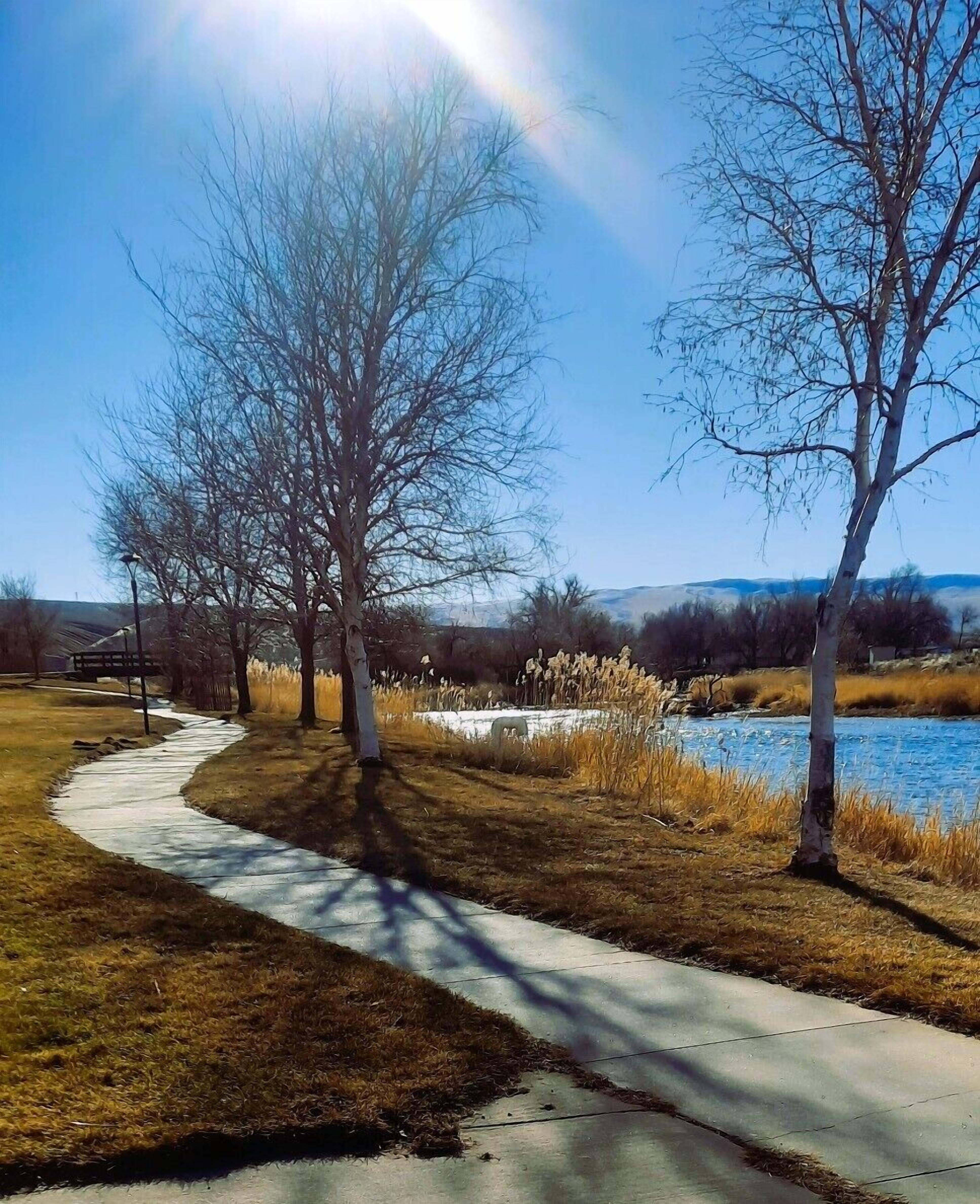 Land view from property