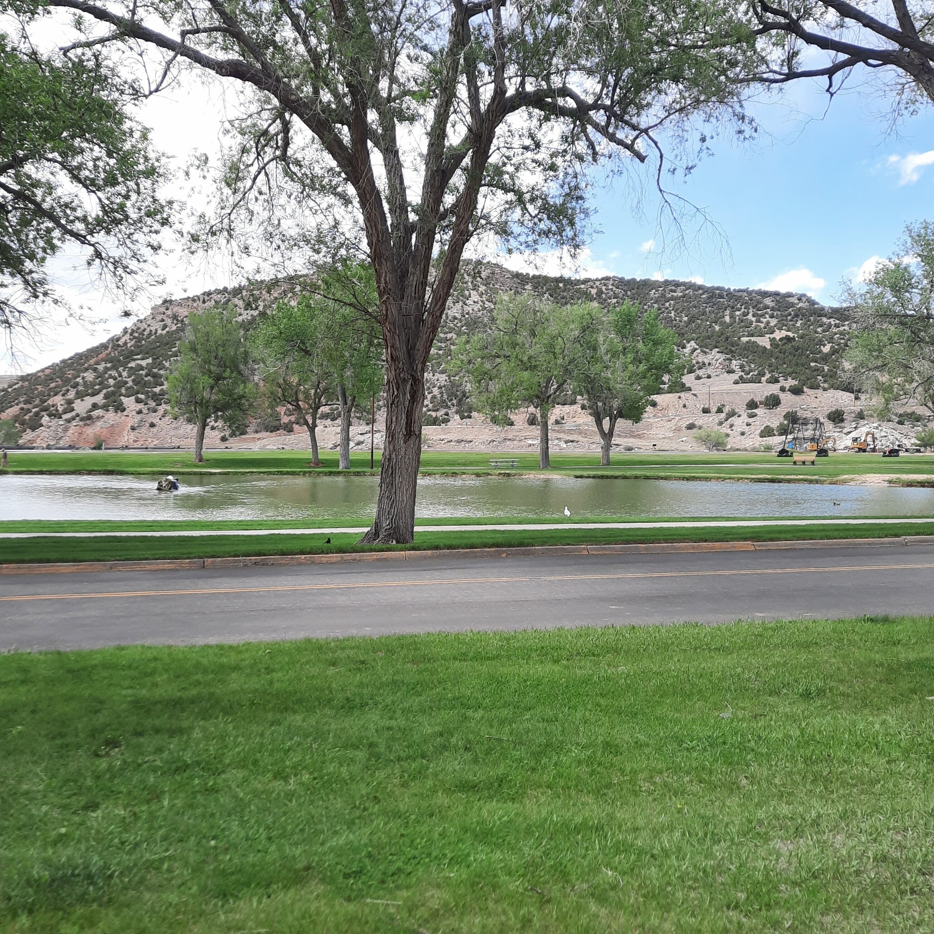Um parque com uma árvore grande, um lago e um fundo com colinas.