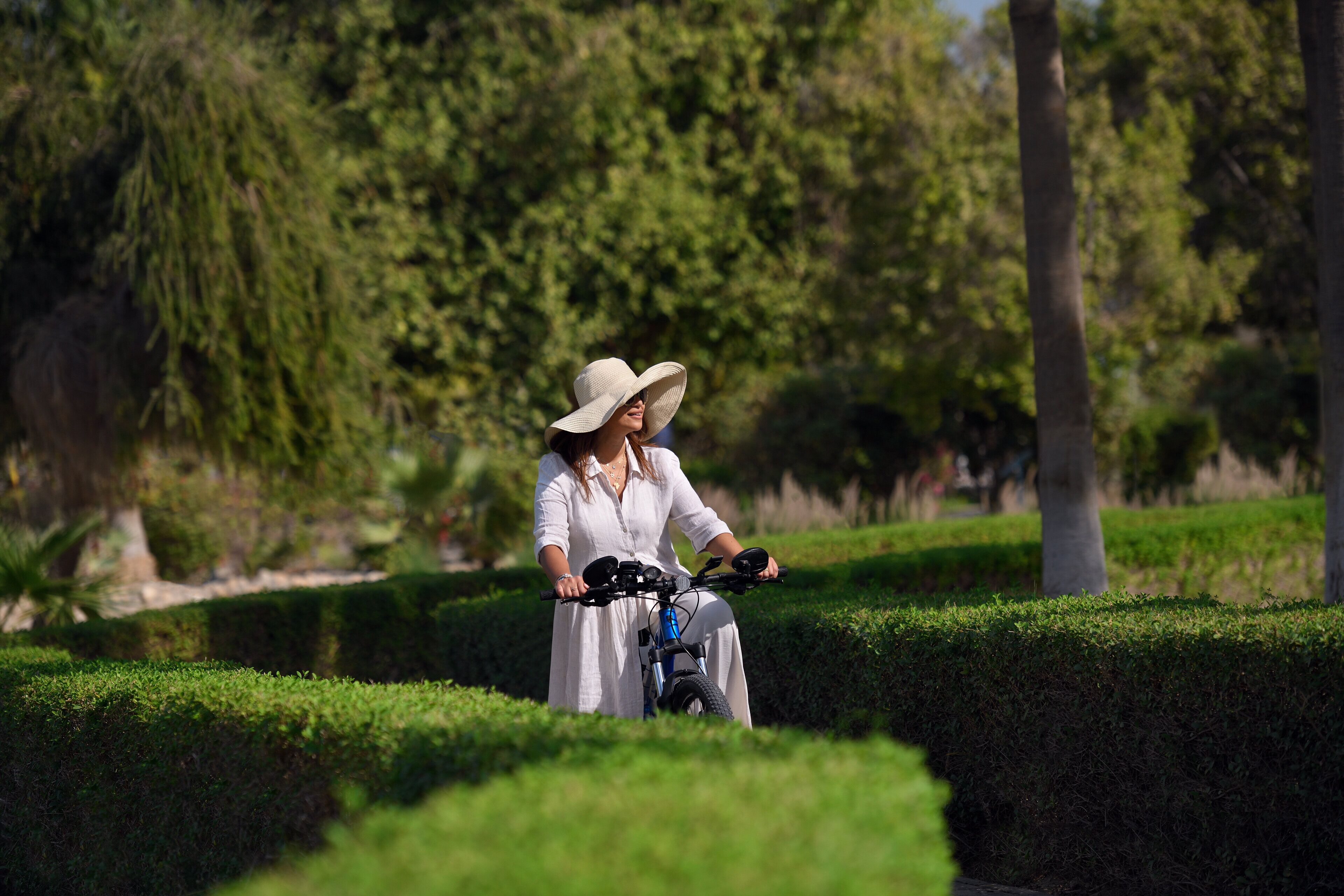 Una persona montando en bicicleta en un parque con setos bien cuidados y árboles al fondo.