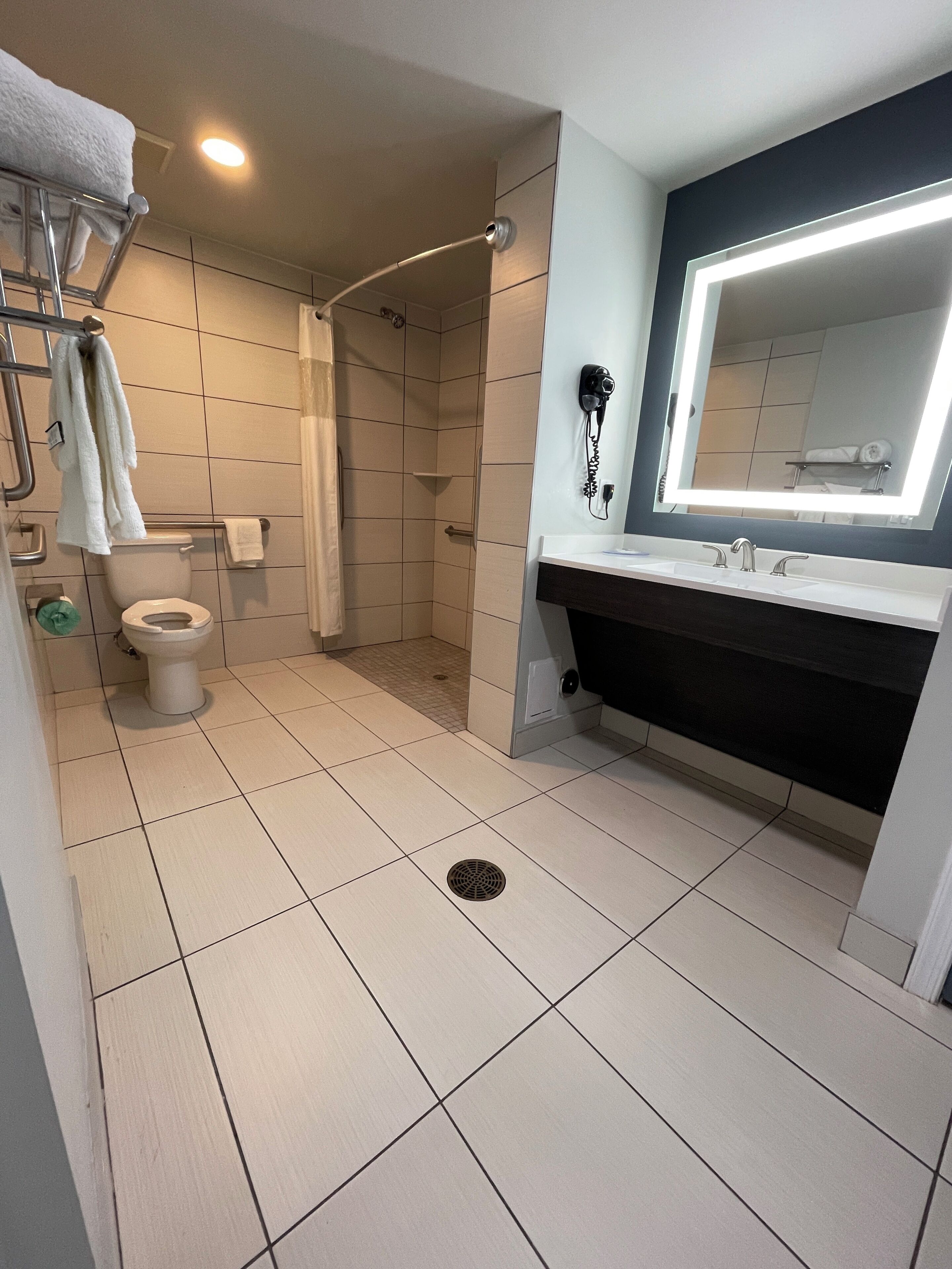 Baño con inodoro, ducha y zona de lavamanos.