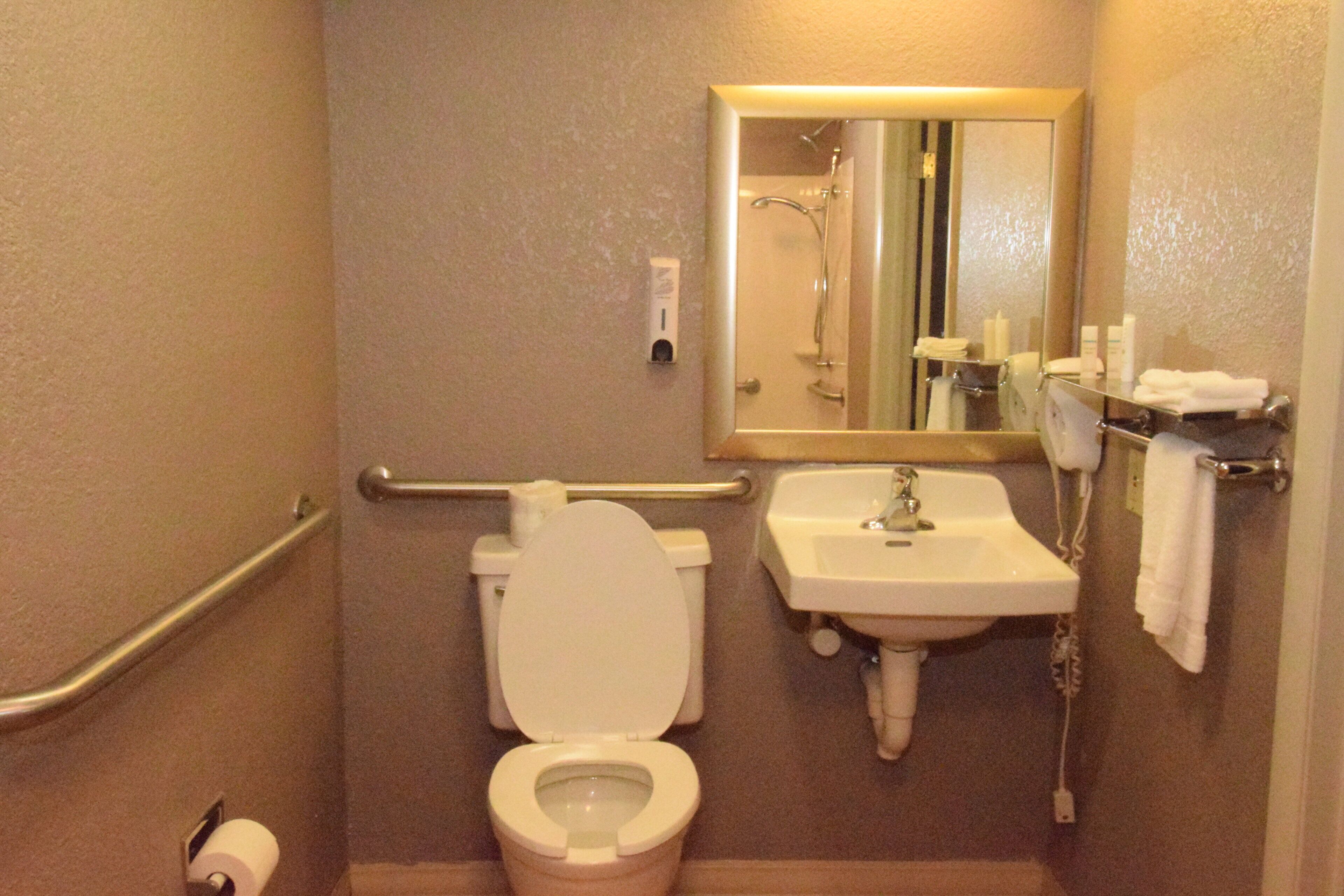 A bathroom with a toilet, sink, and mirror.