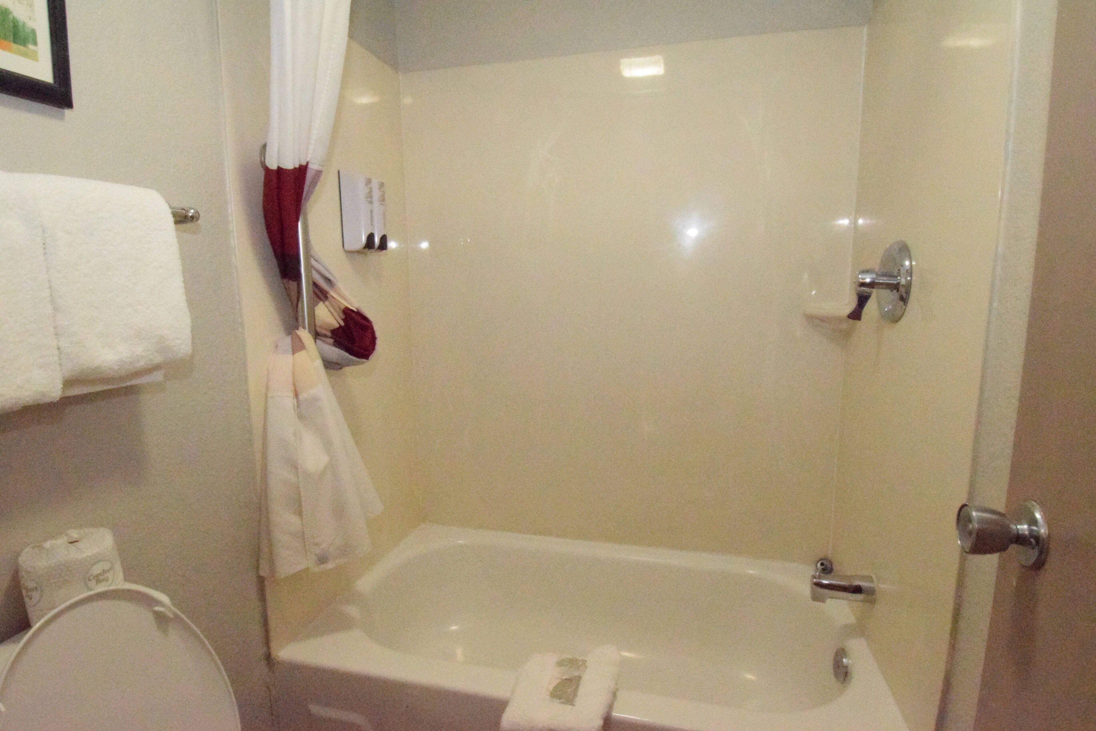 A bathroom with a bathtub, a toilet, and a shower curtain.