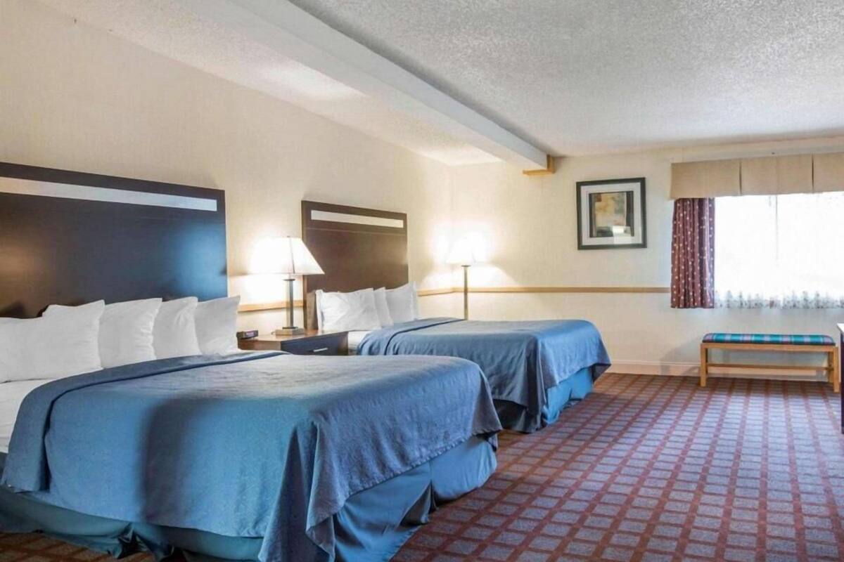 A hotel room with two beds, a bench, a lamp, a picture on the wall, and a patterned carpet.