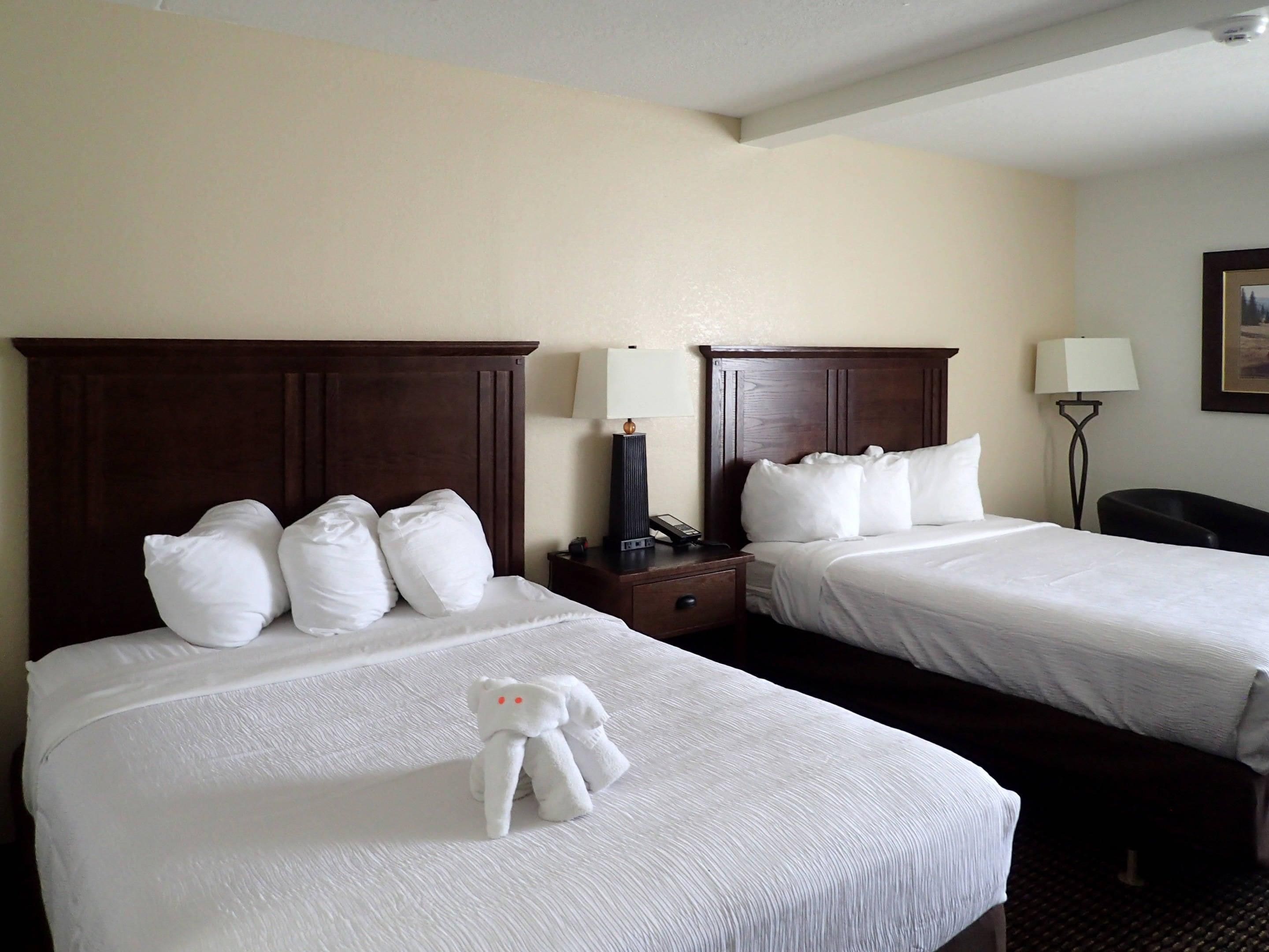 A hotel room with two beds, a nightstand, a lamp, and a teddy bear on the bed.