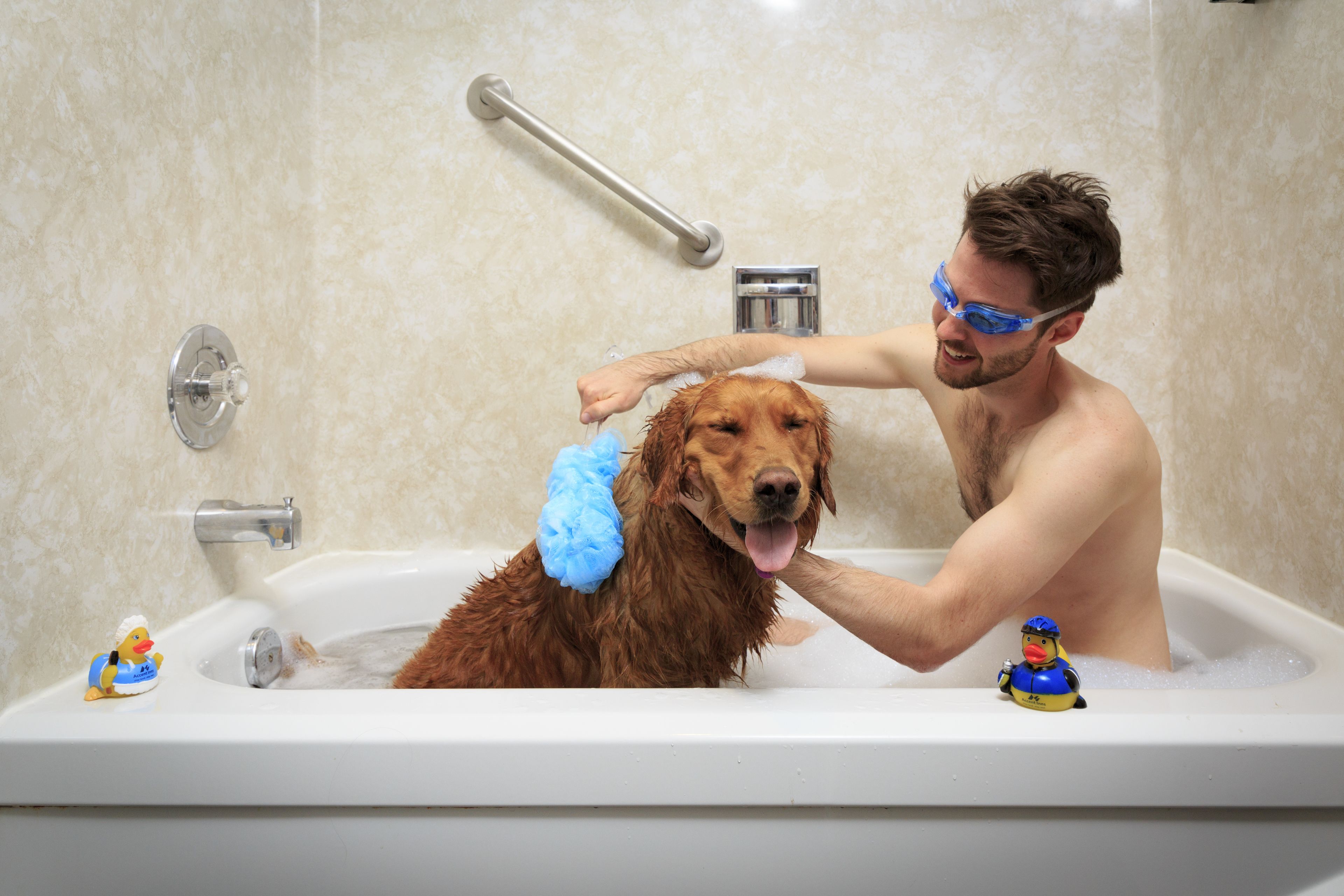Una vasca da bagno con un cane e un giocattolo a forma di anatra di gomma.
