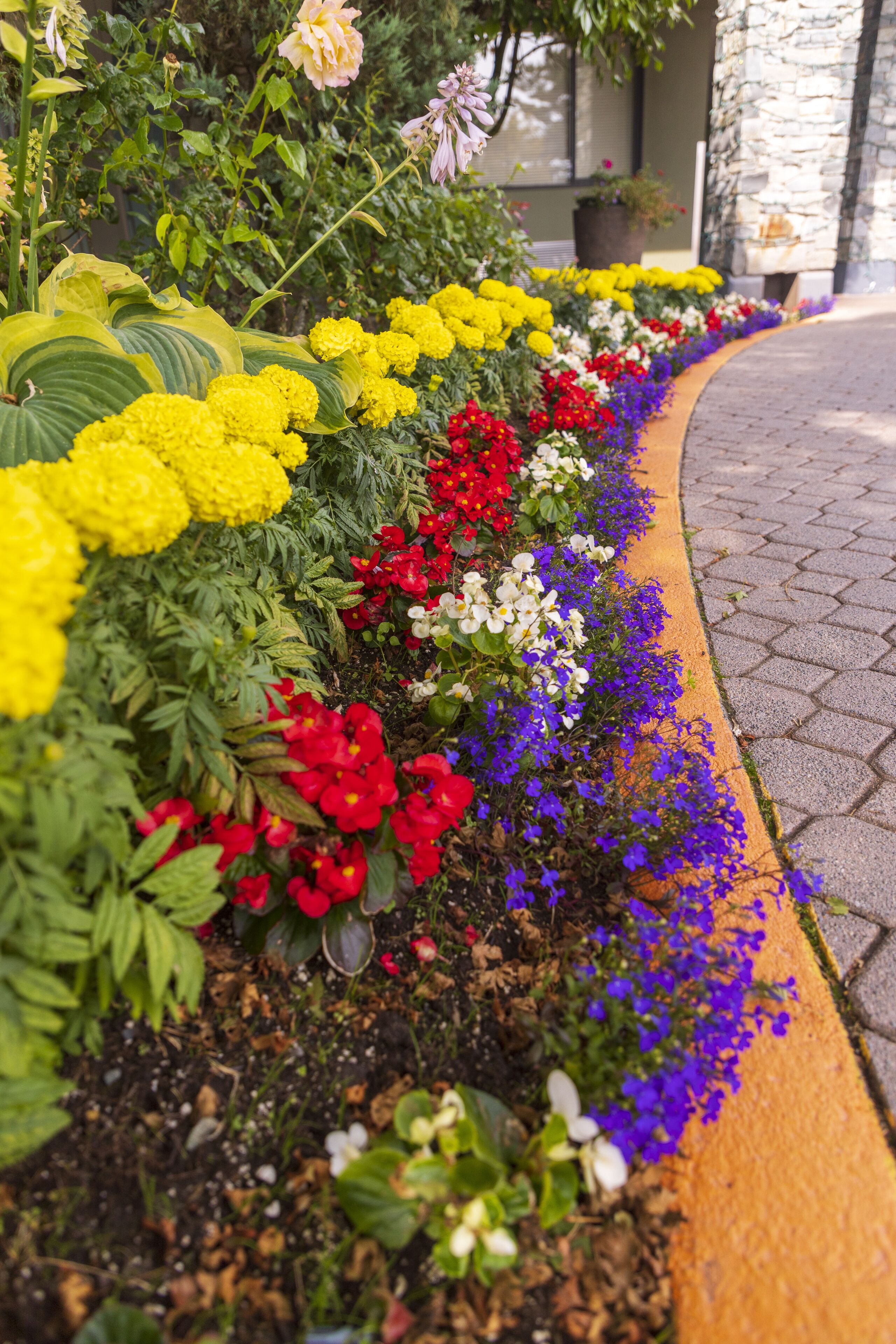 Un parterre fleuri, avec une variété de fleurs aux couleurs vives, le long d’un trottoir incurvé.