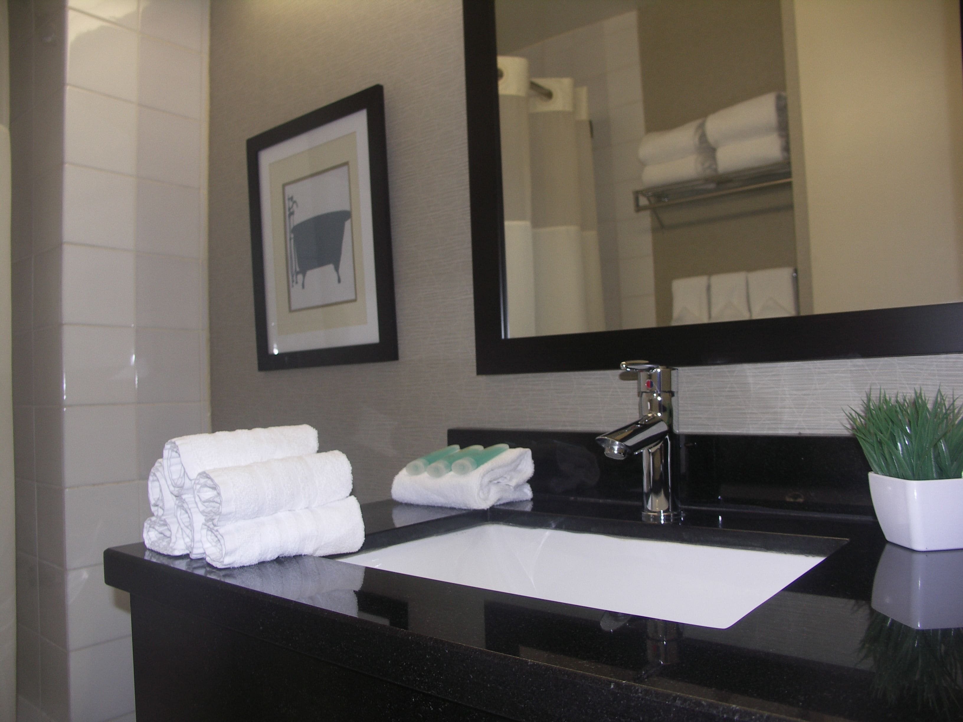 A bathroom with a black sink, a framed picture on the wall, and a potted plant.