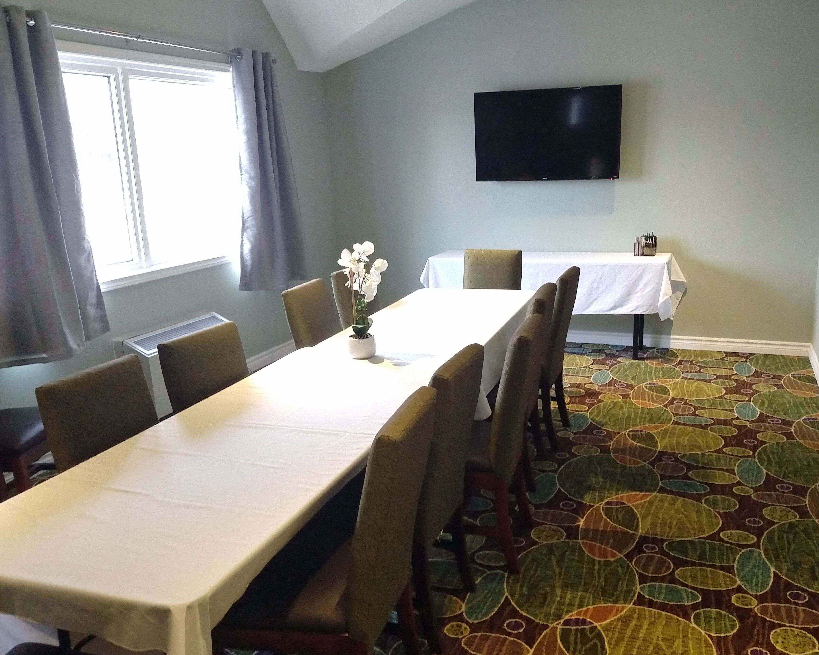 A conference room with a long table, chairs, a potted plant, a flat-screen TV, and a patterned carpet.
