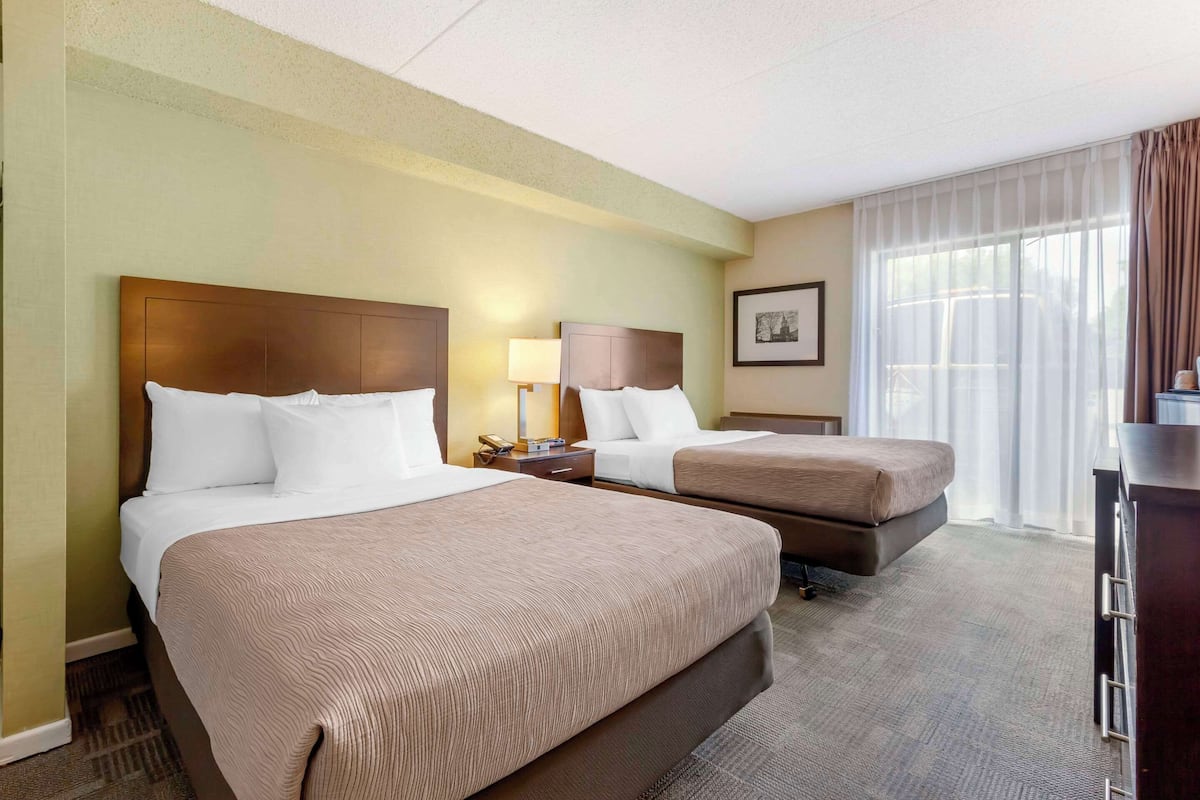 Standard 2 Double Beds, Non Smoking | Egyptian cotton sheets, premium bedding, down comforters, desk