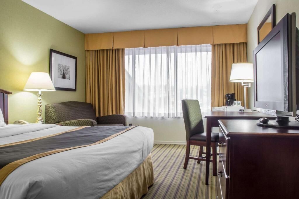 Egyptian cotton sheets, premium bedding, down comforters, desk