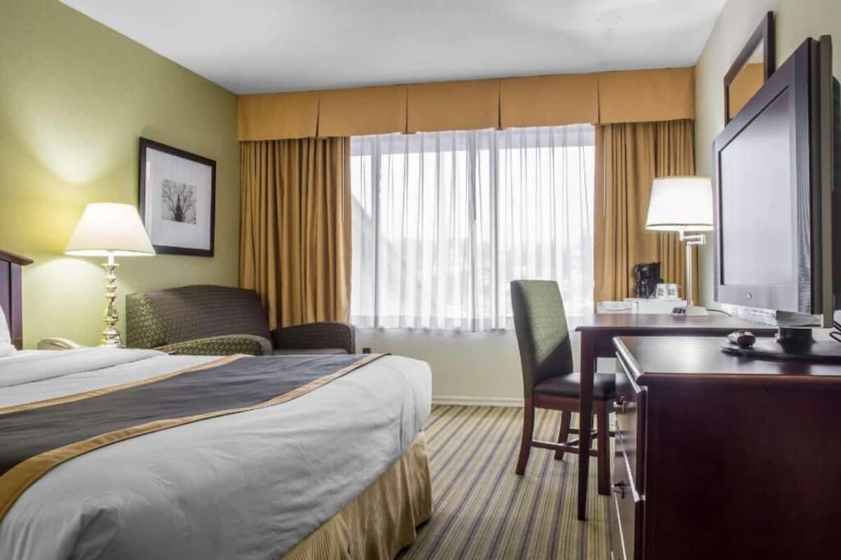 A hotel room with a bed, a desk, a chair, a lamp, a television, and a window with curtains.