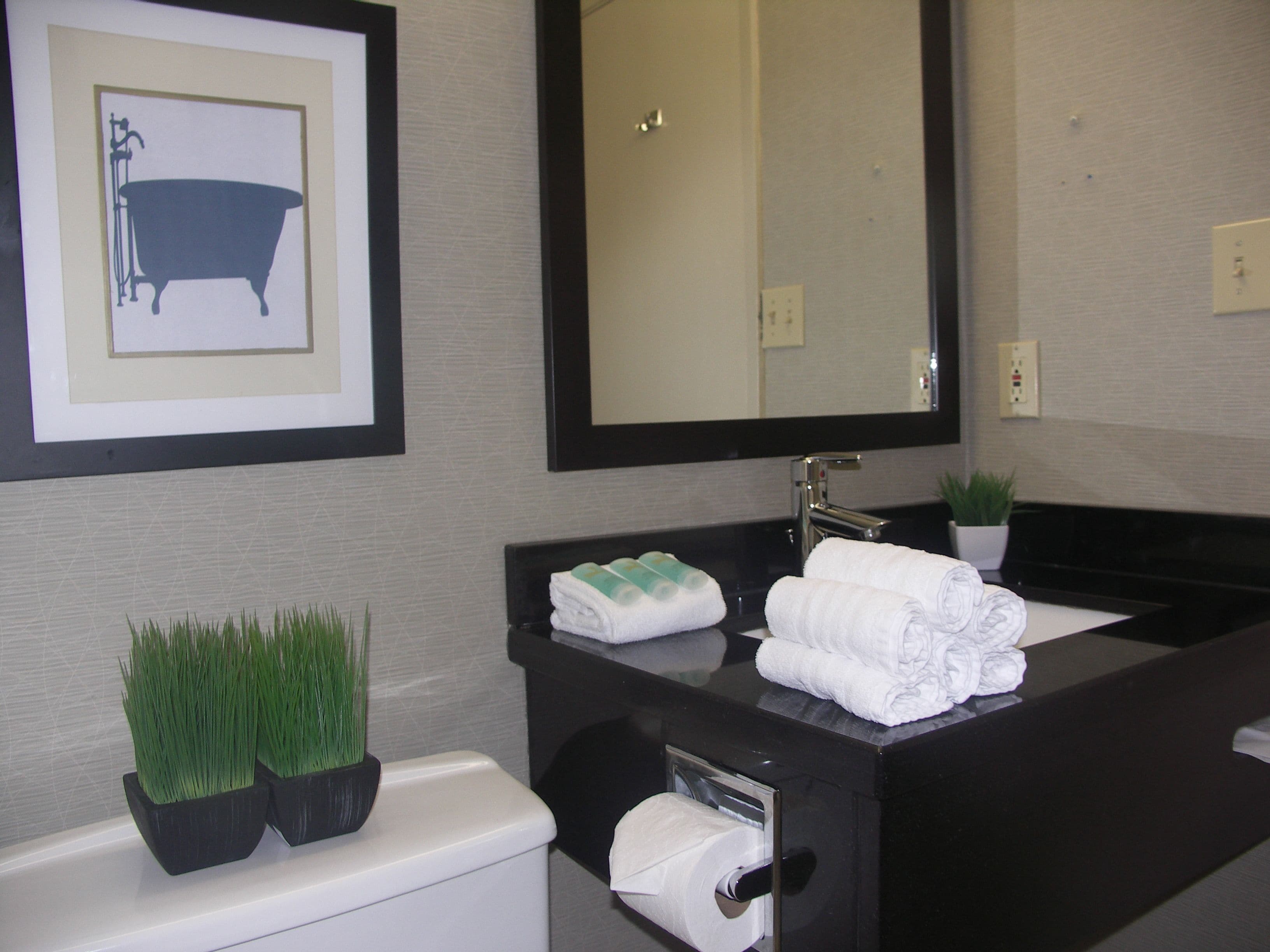 Un baño con un lavabo negro, un espejo, un cuadro con una bañera y dos plantas en macetas.