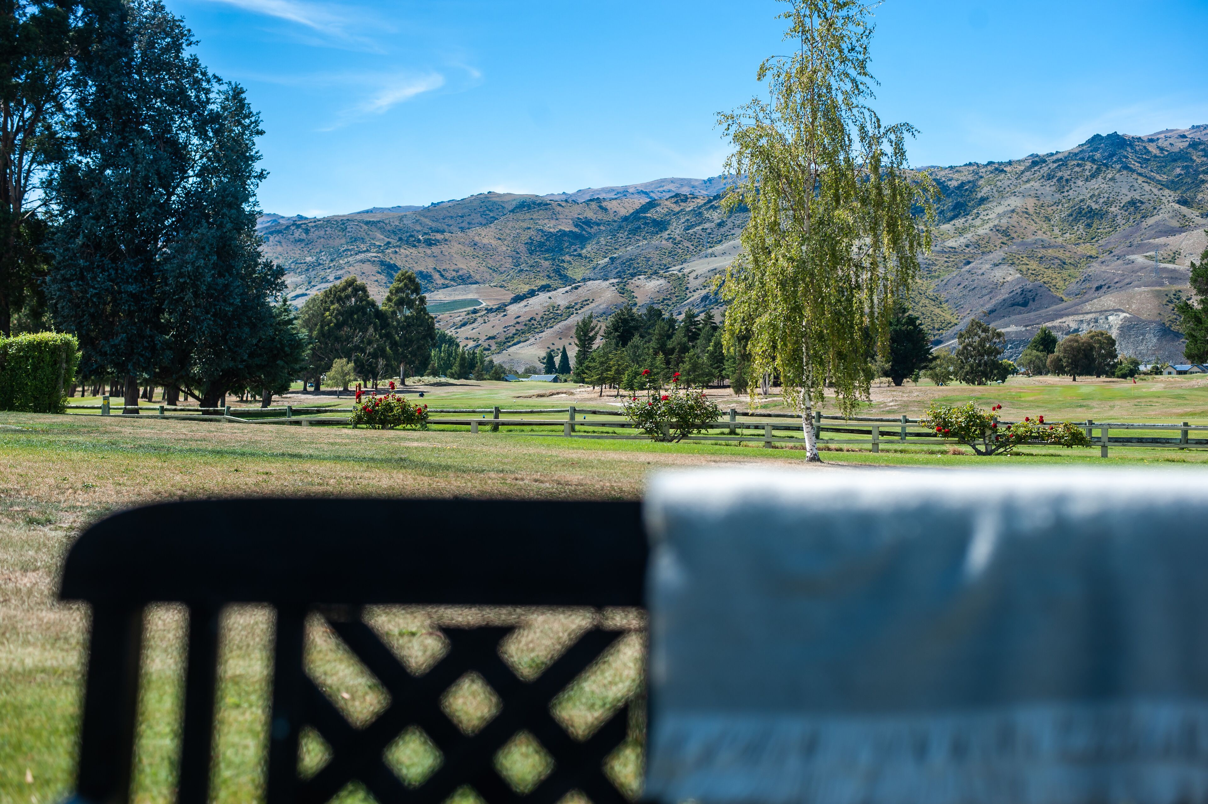 Vista de un parque con una valla de madera, árboles y montañas al fondo.
