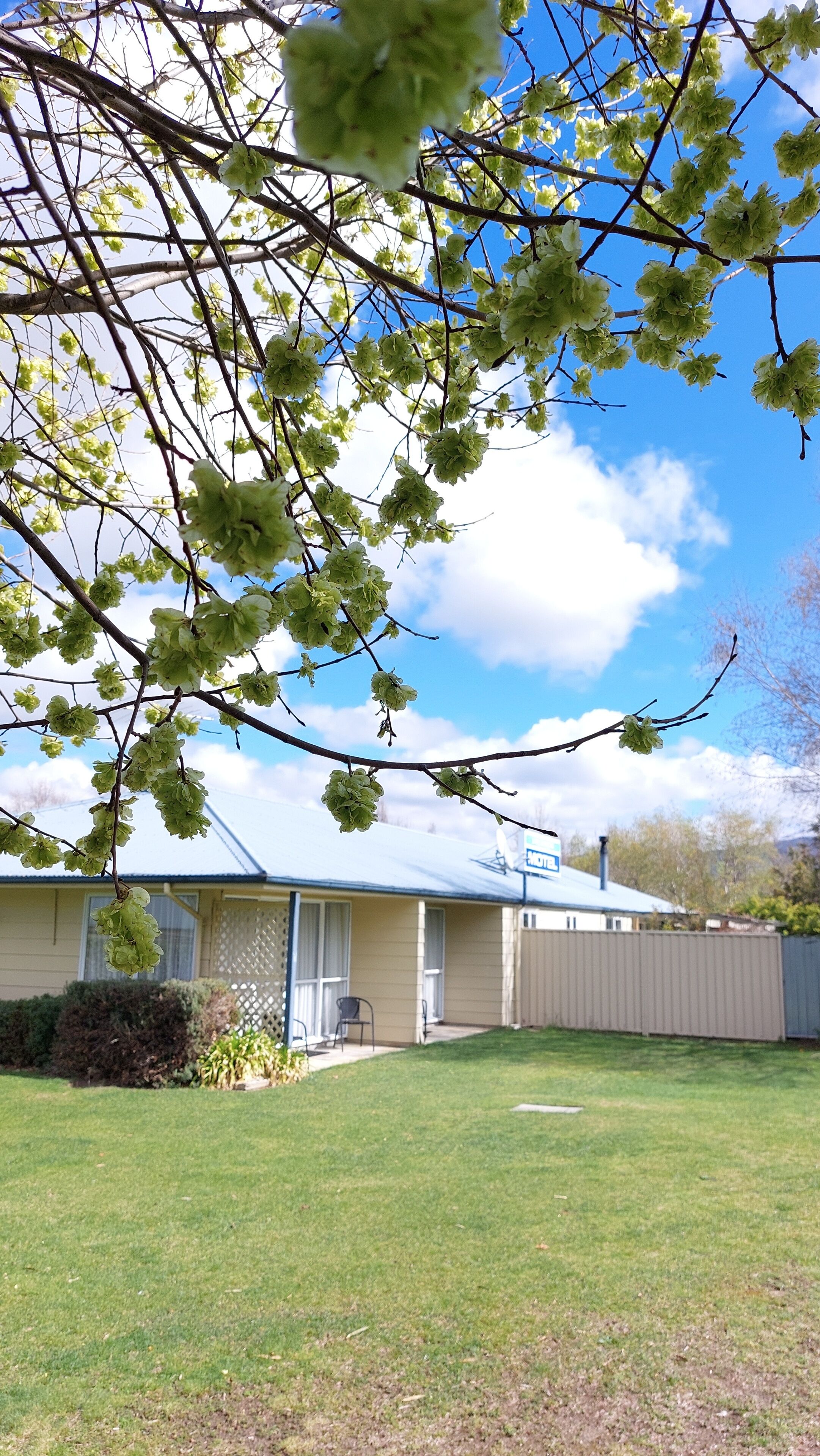 A single-story house with a covered patio, a fenced yard, and a clear blue sky.