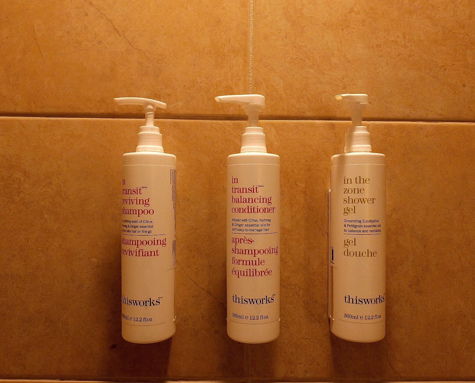 Trois bouteilles de shampoing et d’après-shampoing sont posées sur un mur.