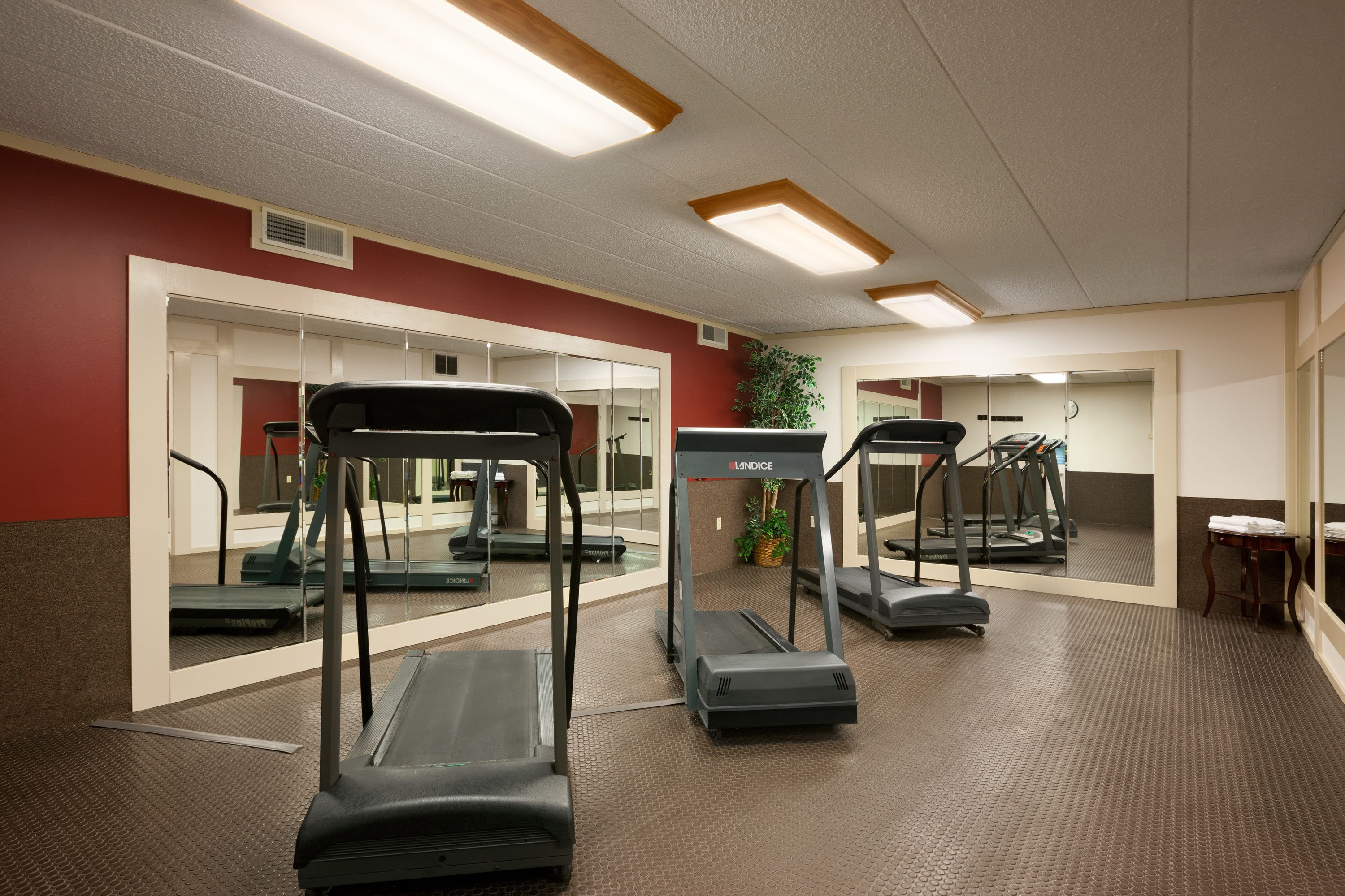 A gym with treadmills, mirrors, and exercise equipment.