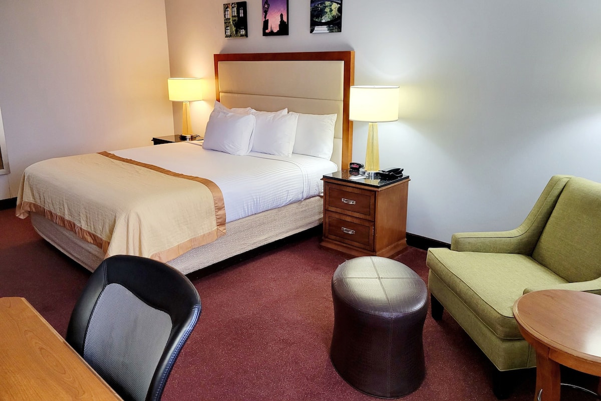 Dog Friendly Deluxe King Room