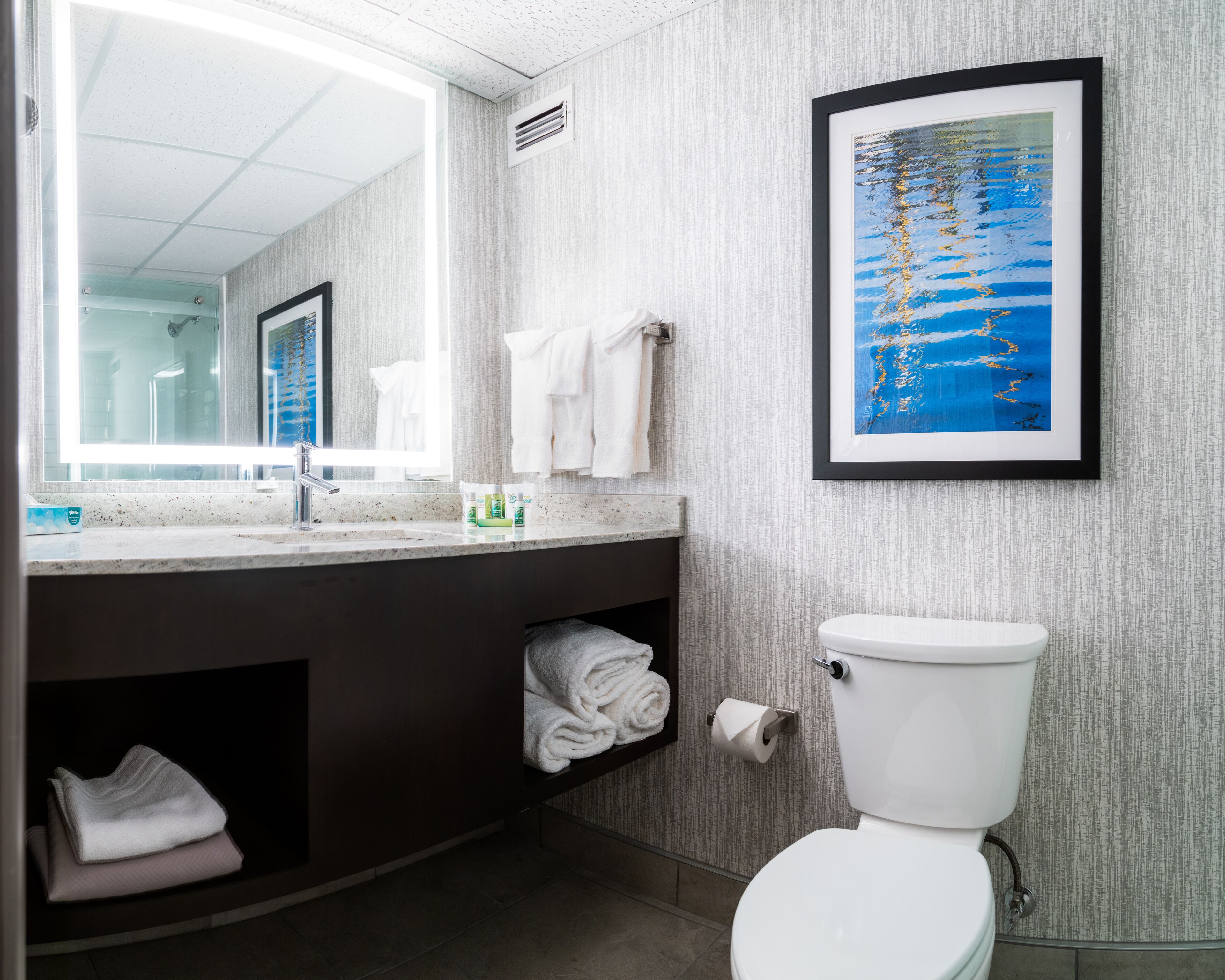 Un bany modern amb un mirall gran, un lavabo amb articles de tocador, un vàter i una obra d'art penjada a la paret.