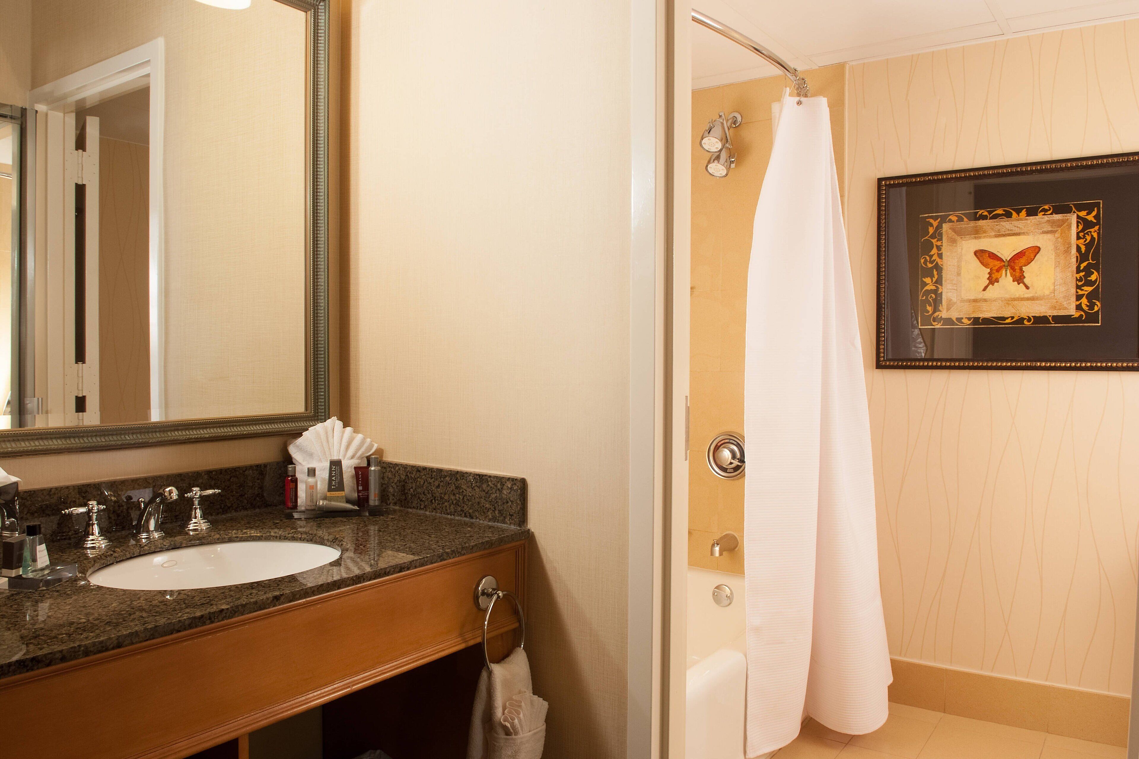 combined shower/bathtub, free toiletries, hair dryer, towels