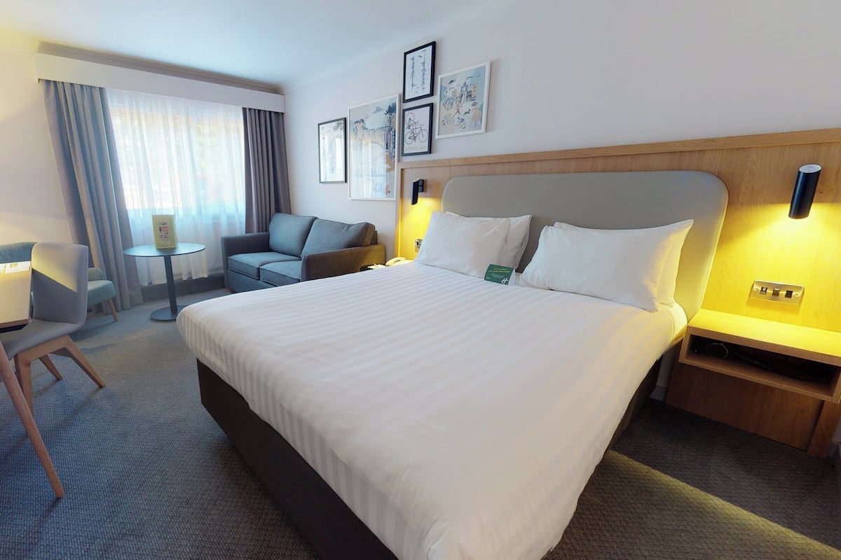 Standard Room, 1 King Bed with Sofa bed