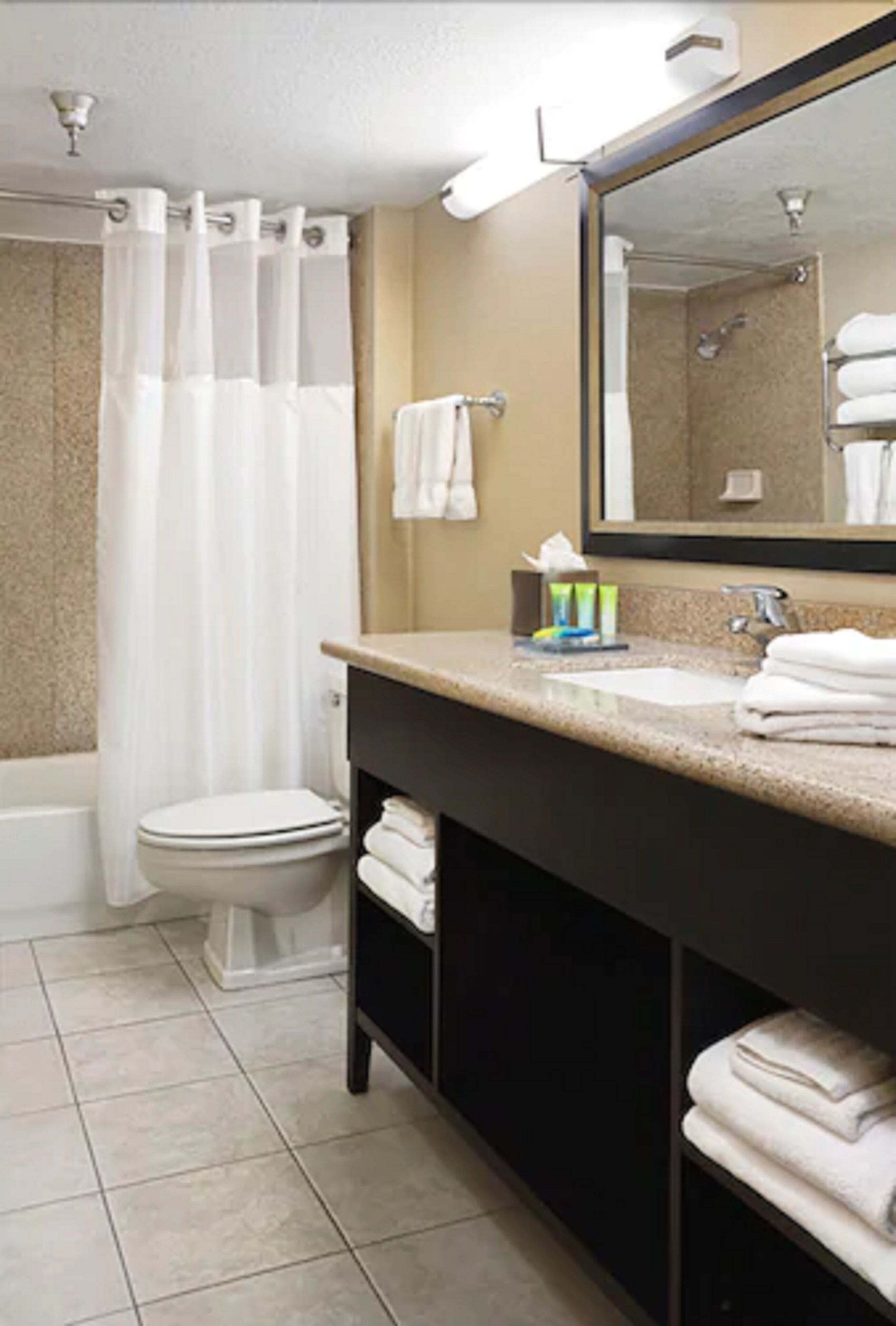 combined shower/bathtub, free toiletries, hair dryer, towels