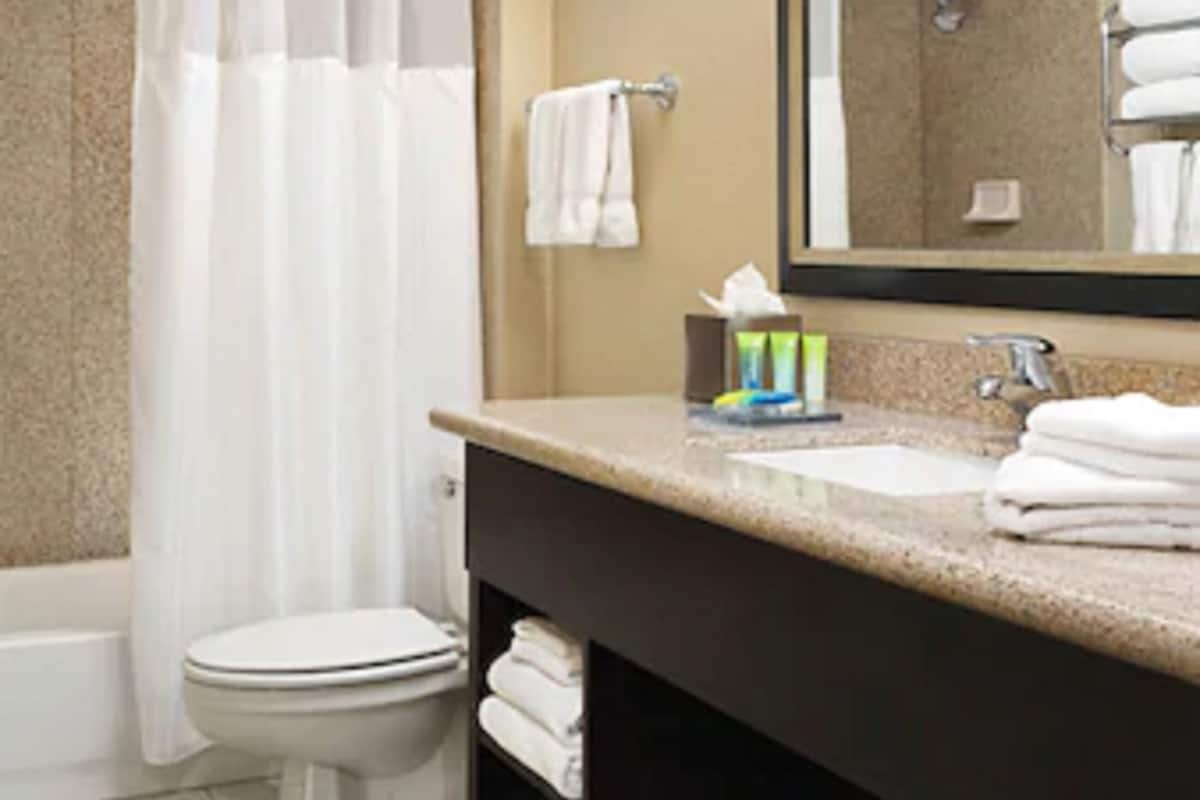 combined shower/bathtub, free toiletries, hair dryer, towels