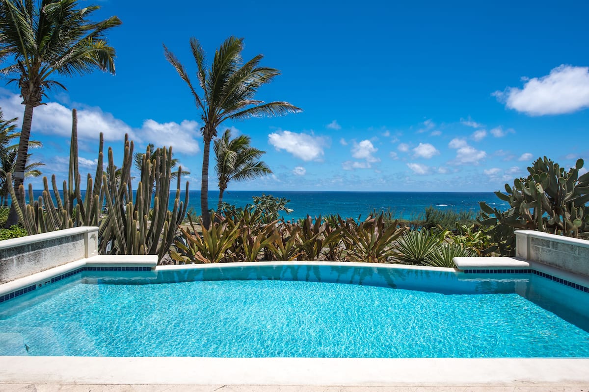 Piscina con vista al océano, rodeada de palmeras y cactus.