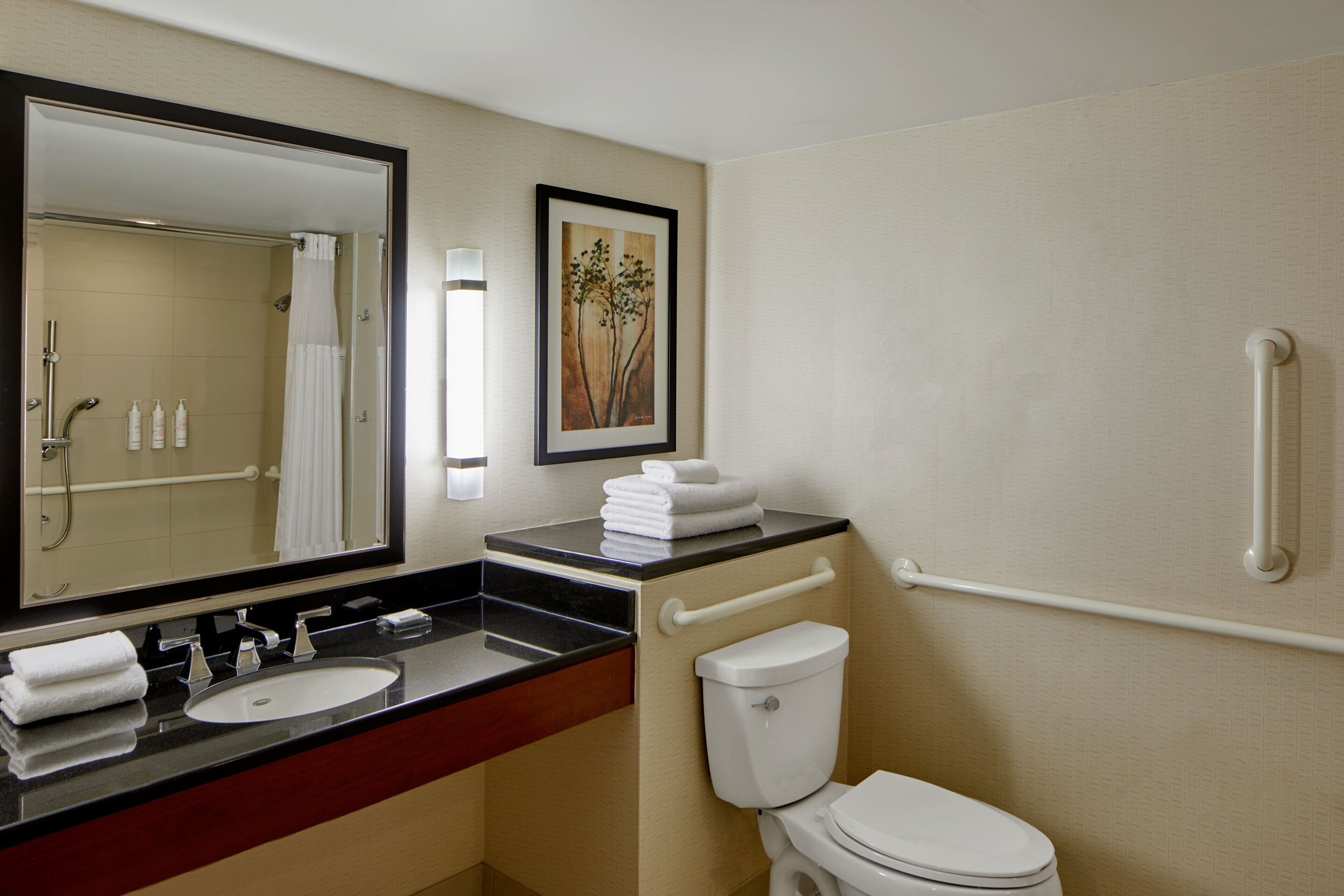 Une salle de bain équipée d’un lavabo, d’un miroir, de toilettes et de barres d’appui.