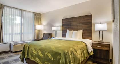 Quality Inn Suwanee I-85
