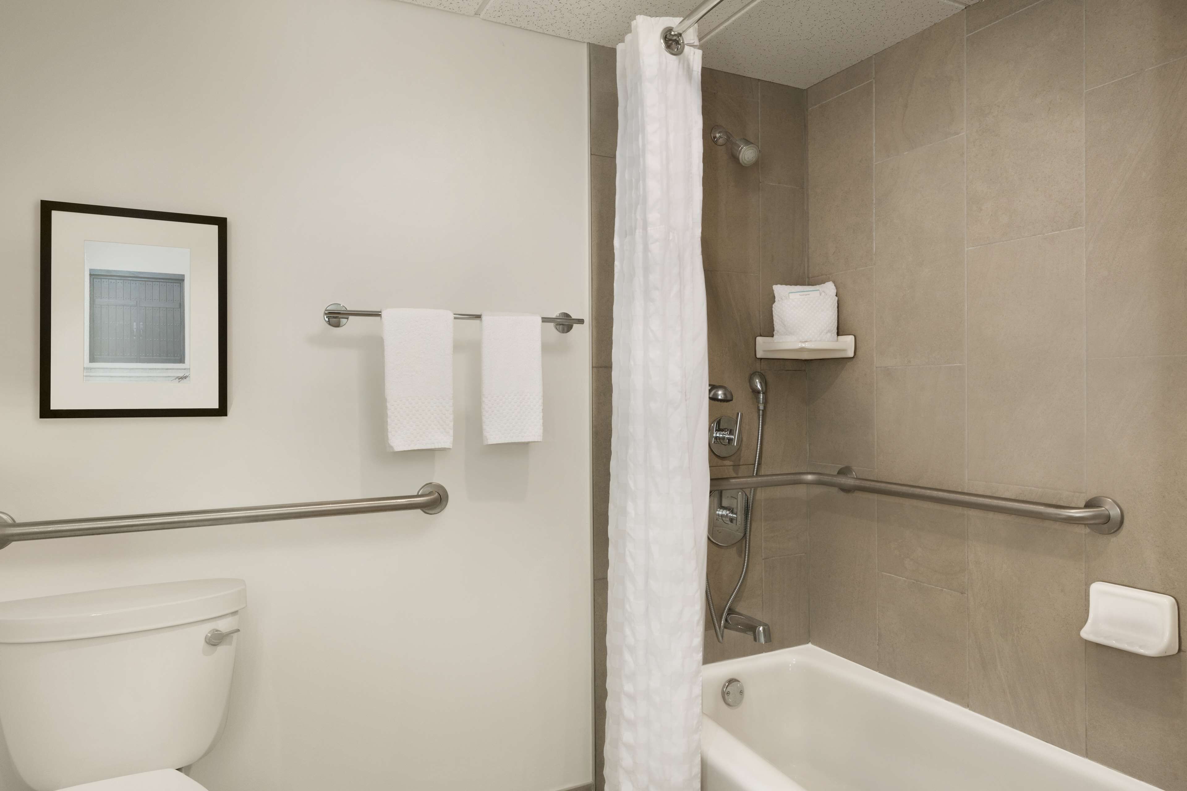 A bathroom with a white toilet, a bathtub, and a shower area. There are handrails installed for safety, and a framed picture is visible on the wall.