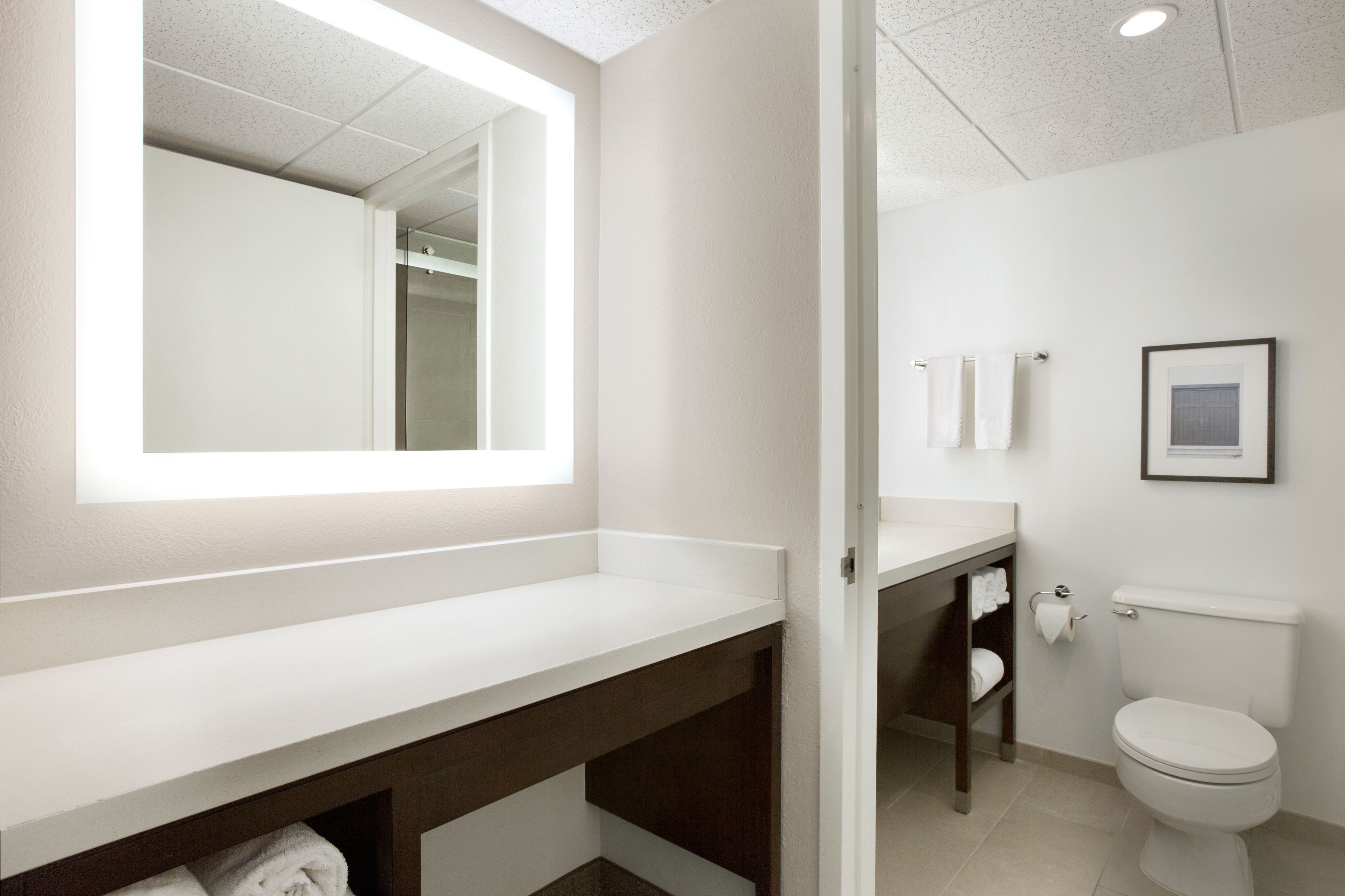A modern bathroom with a white vanity, a toilet, and a framed picture on the wall.